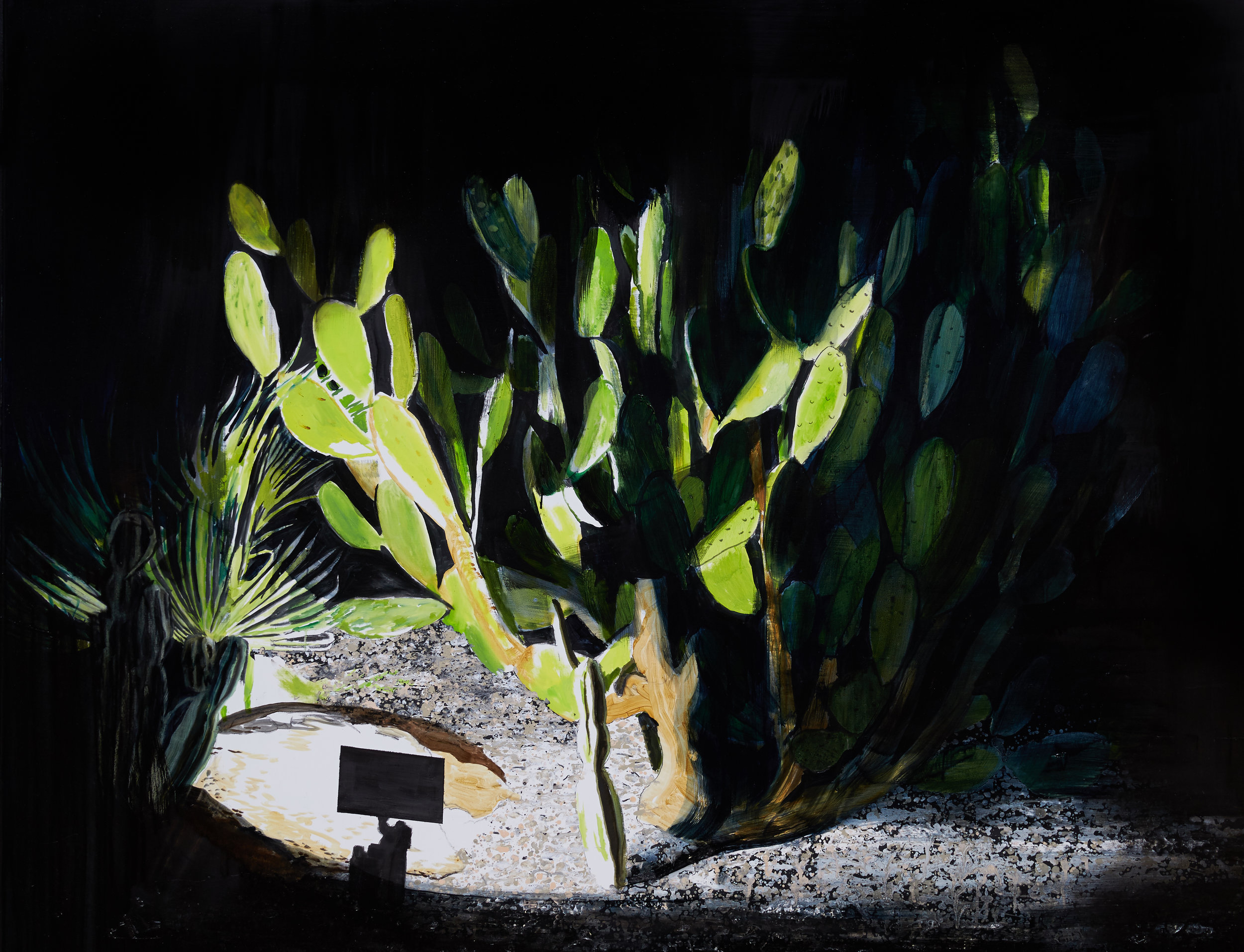   Cactus, Ibiza  Acrylic, oil and enamel on linen 120 x 150 cm 