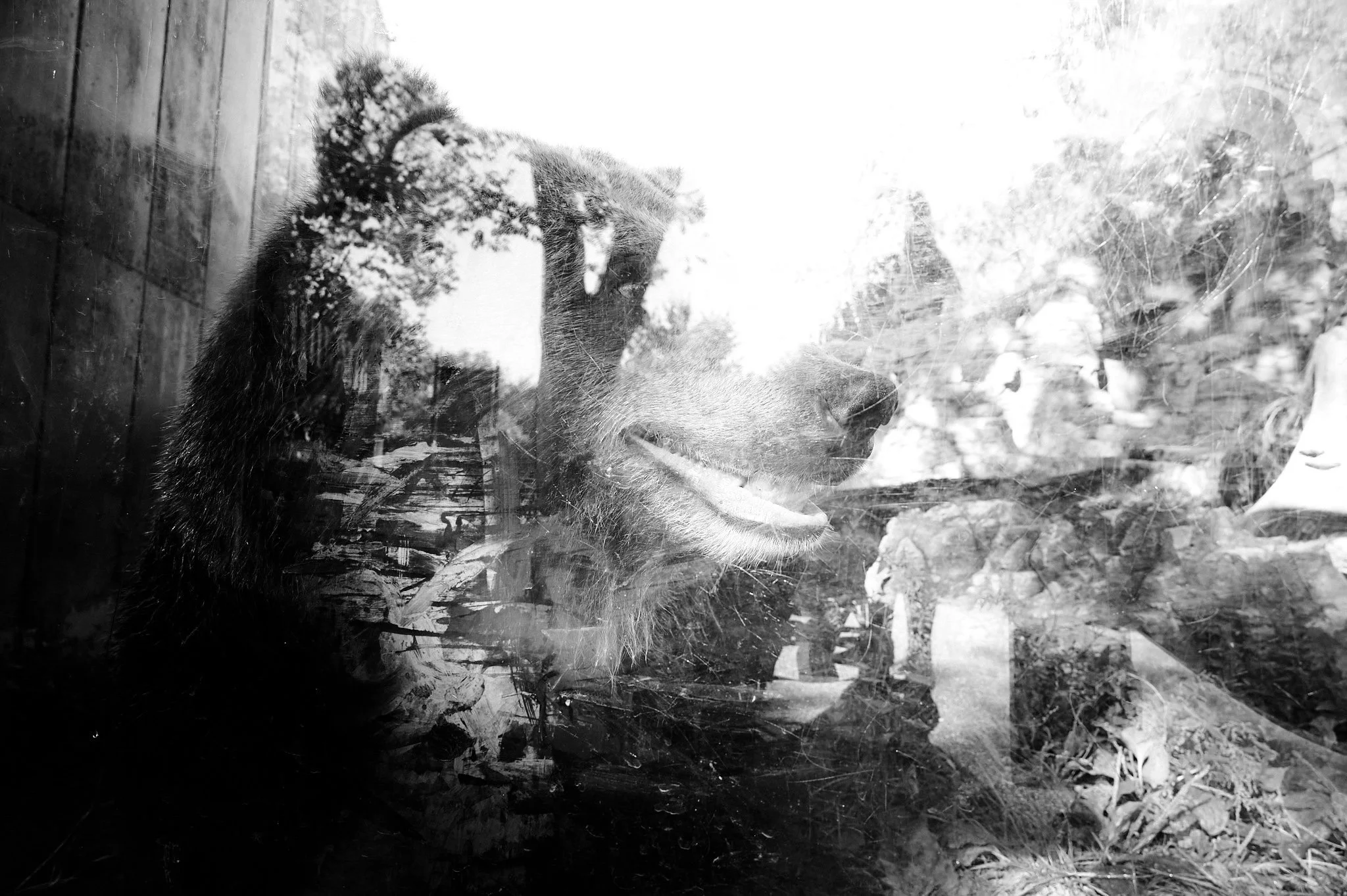Image 9.jpg