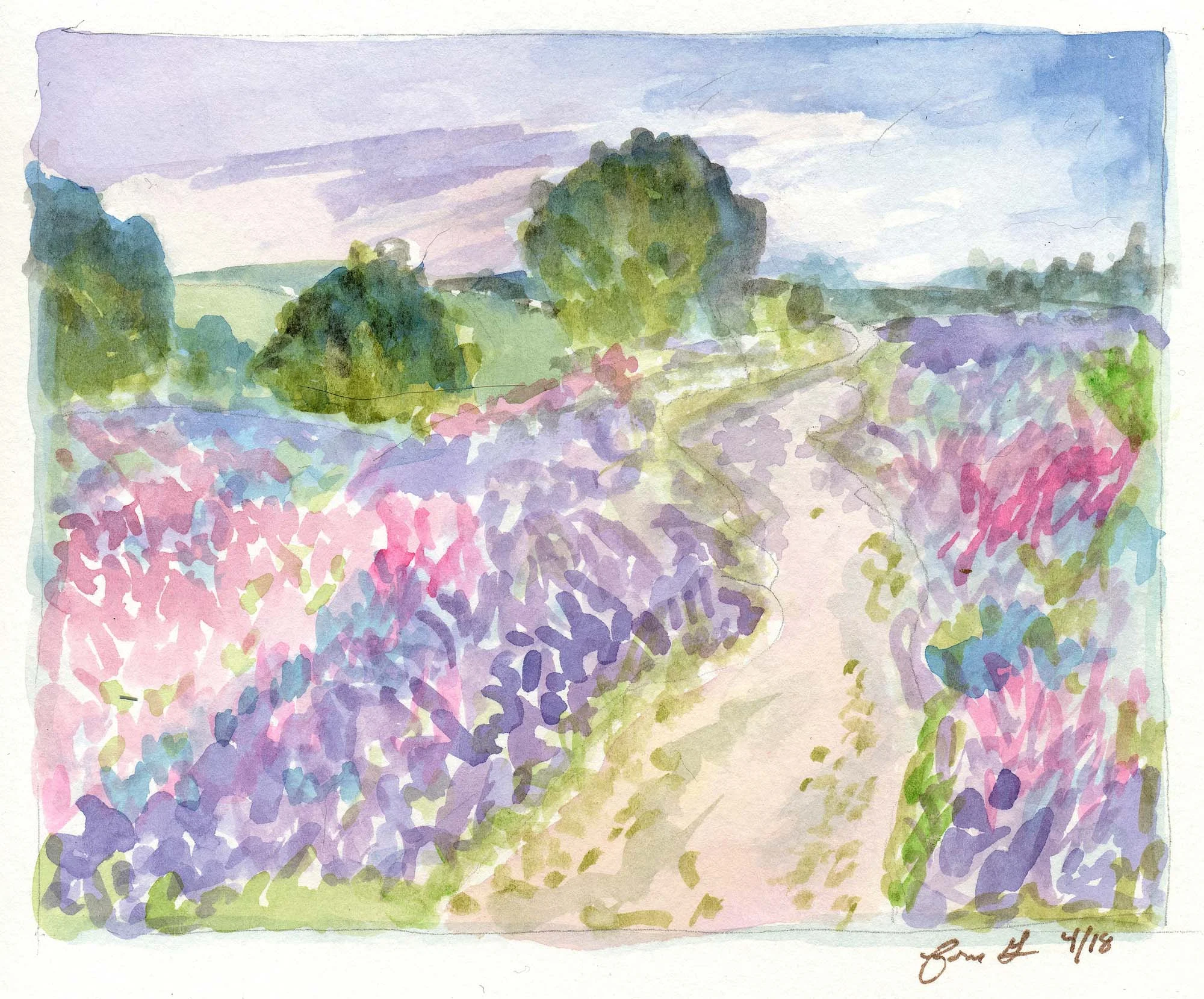 Cory_flower_field.jpg