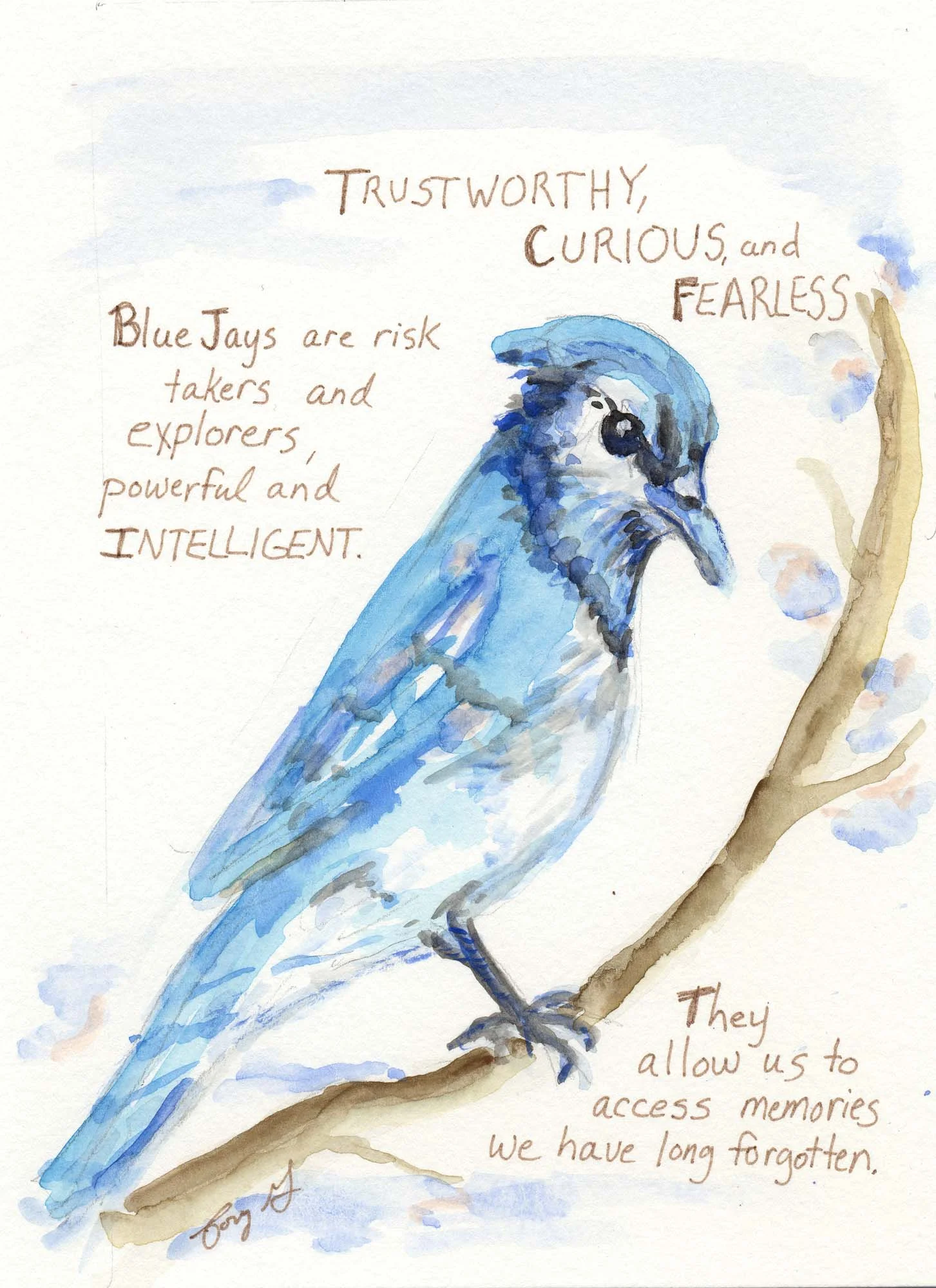 Cory-Bluebird 2.jpg