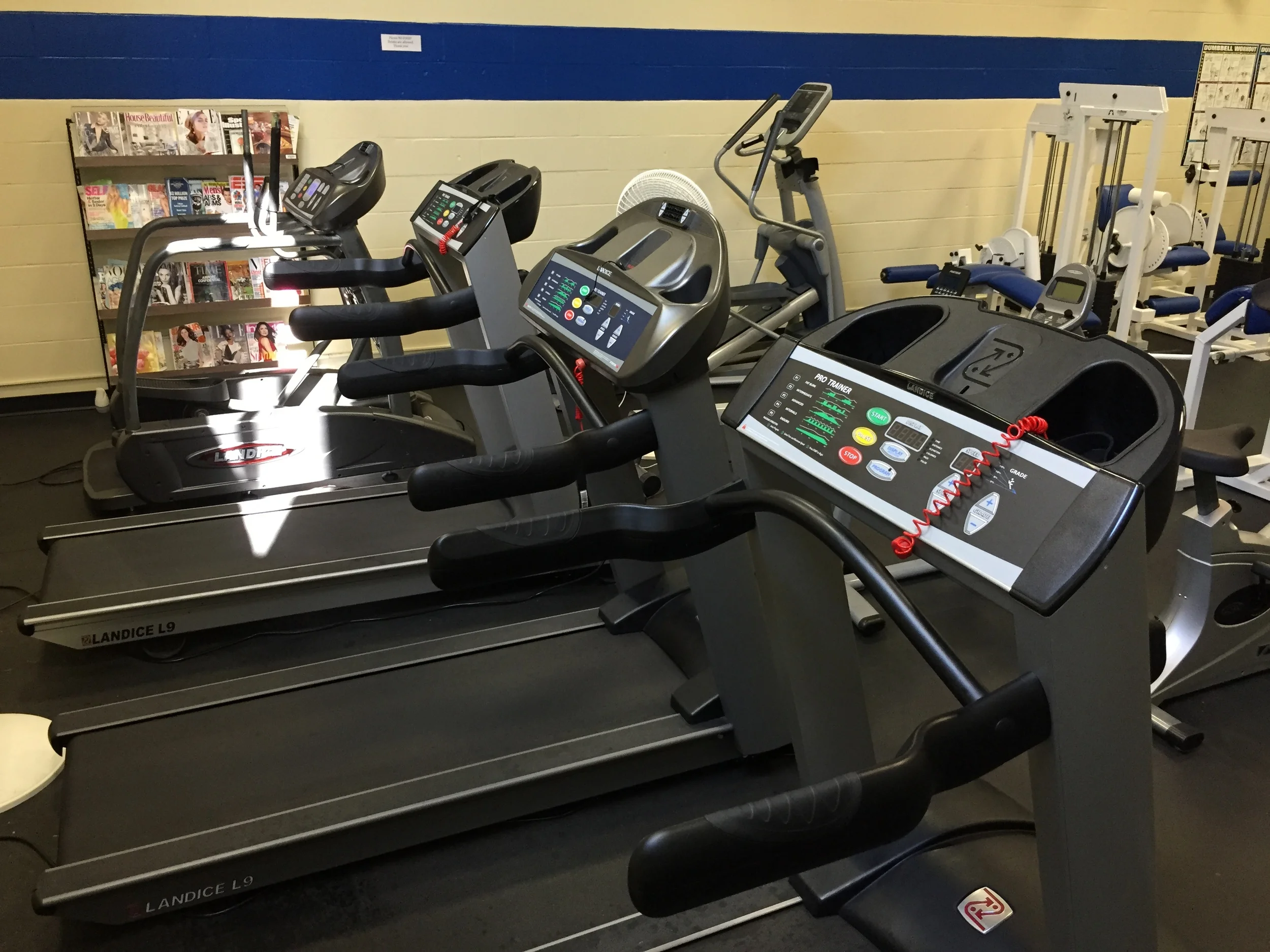 klf_treadmills.jpg