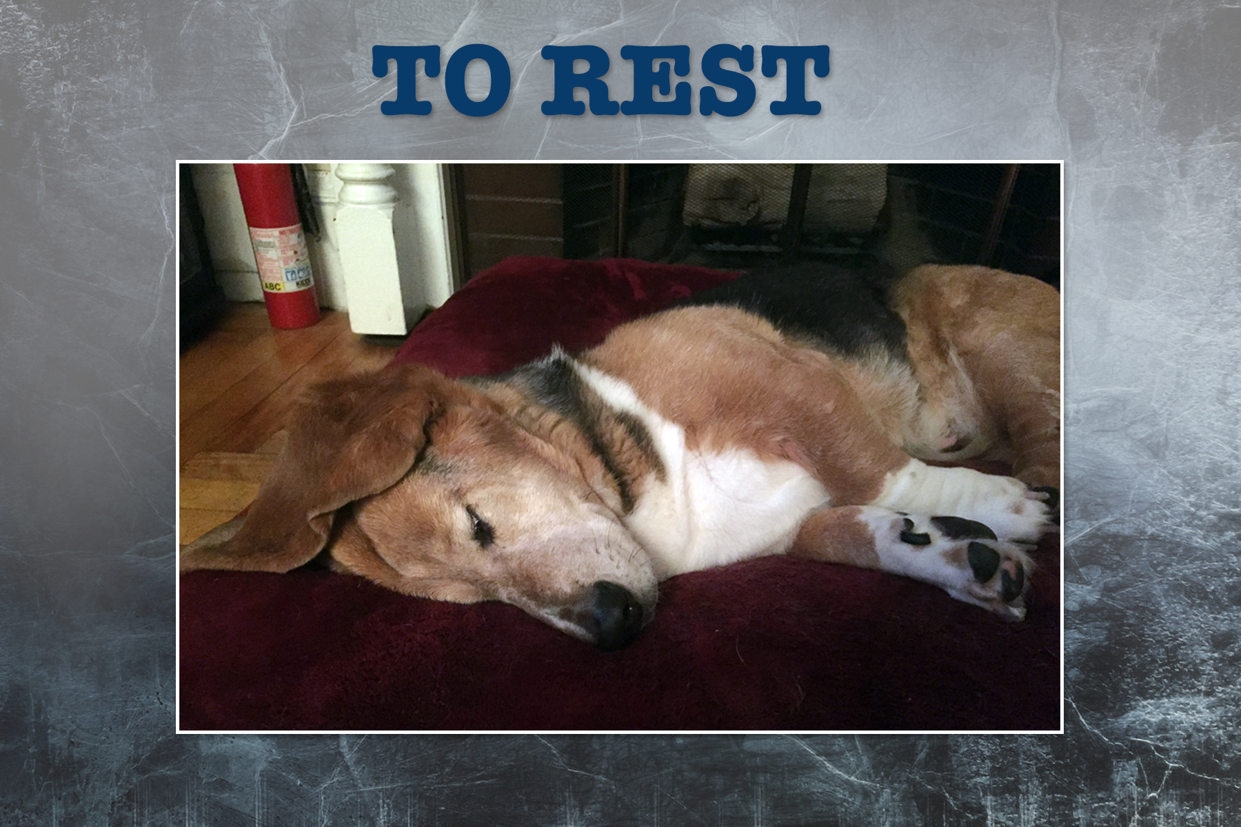 For Rooney, resting and napping is always the decision. Obviously. 