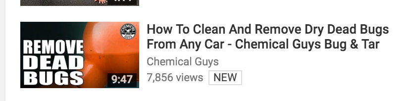 I joke about the actual dead bugs, but this came up in my video feed. So there's that...