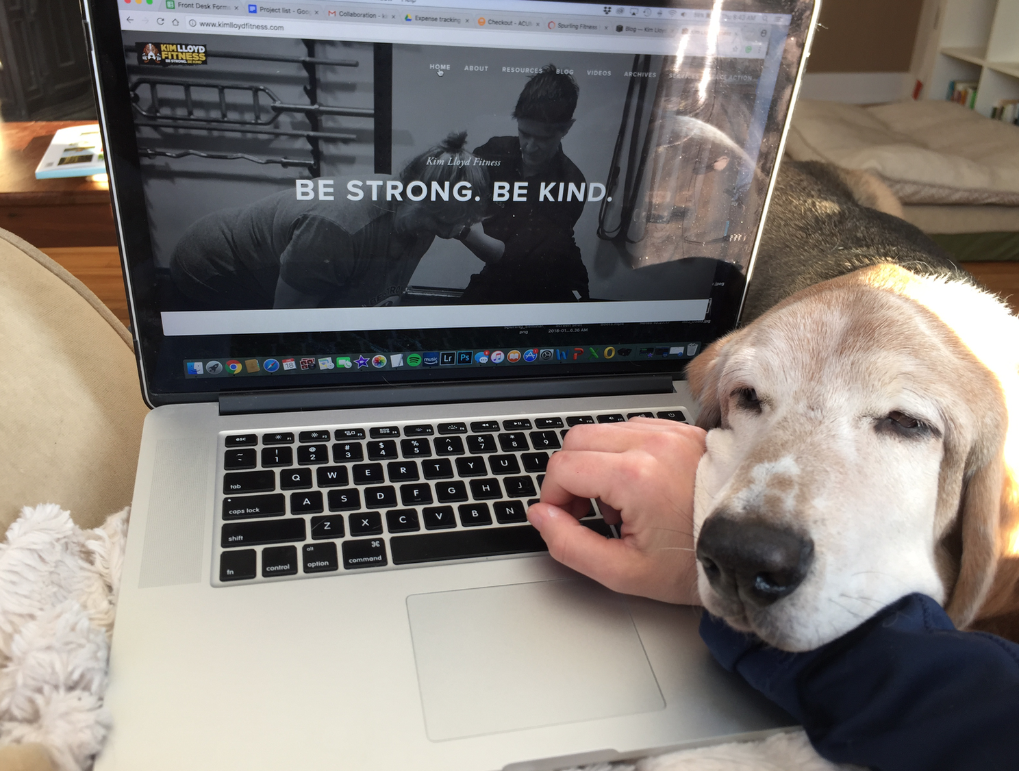 This is how I get my energy. And also why it's sometimes hard to actually type a blog post, with his head on my wrist and whatnot...