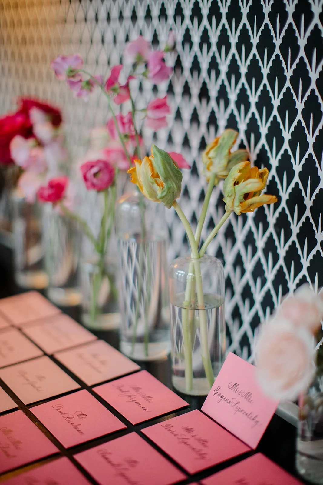 0066 MICHAEL and ANNA COSTA PHOTO.jpg