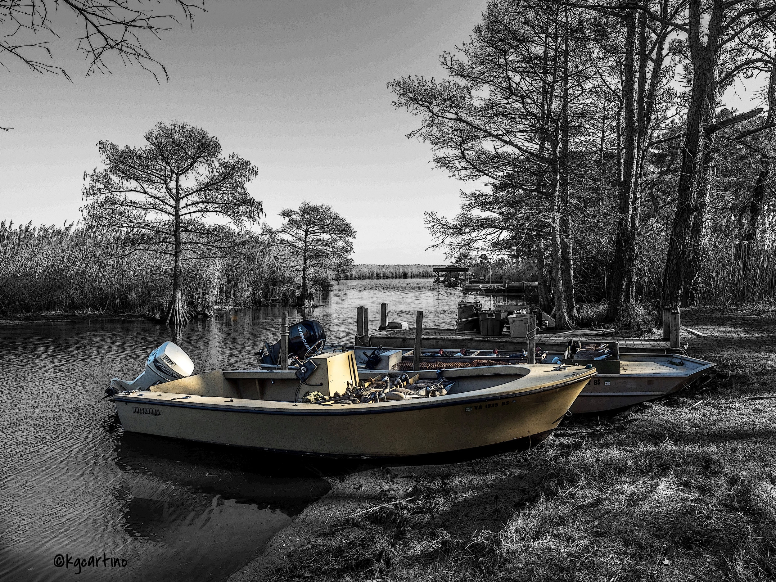 DuckBoatsB&W.jpg