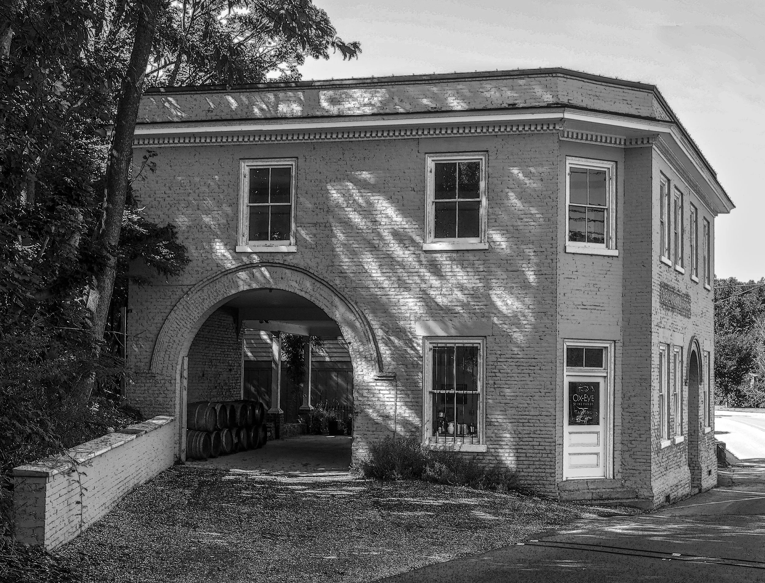 Wine -ellarStaunton.jpg