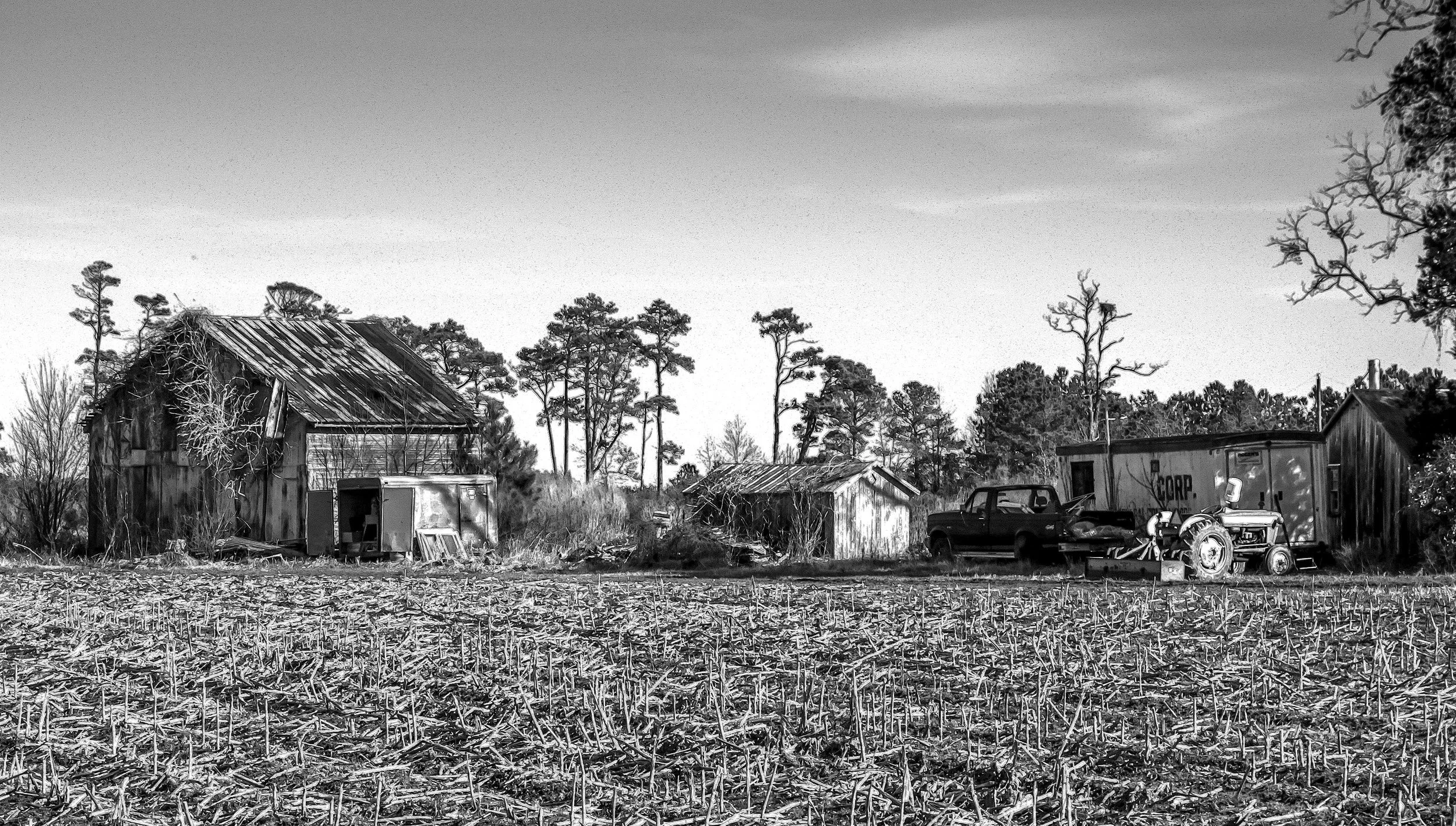 BackBay_smallfarm-inkoutlines.jpg