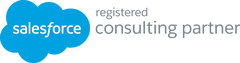 image-asset_SFDC.png