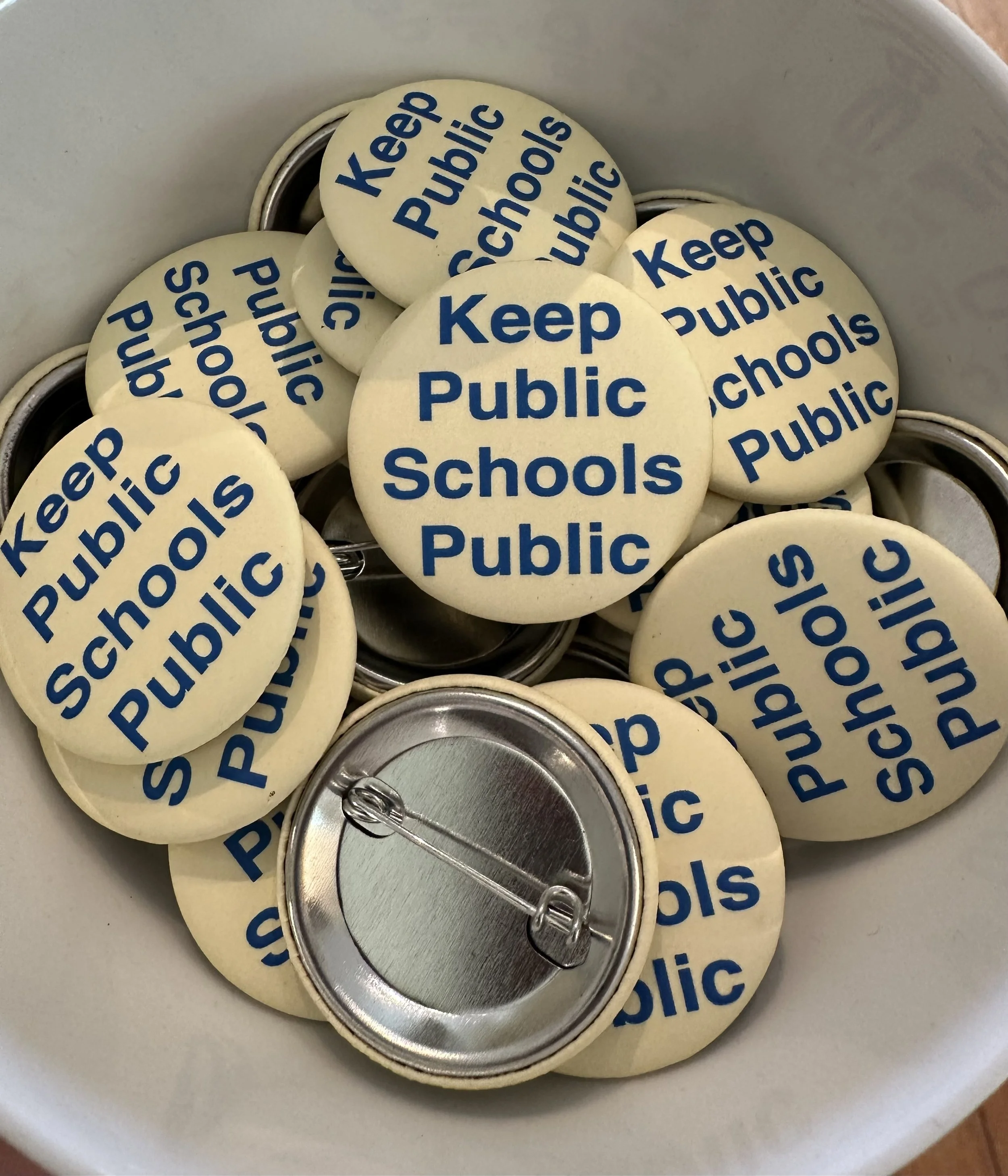 KeepPublicSchoolsPublicButtons.jpg