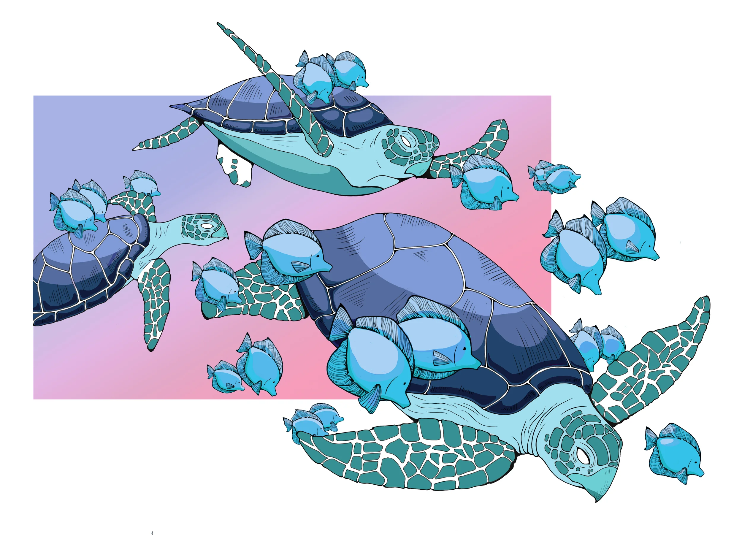 Sea Turtles
