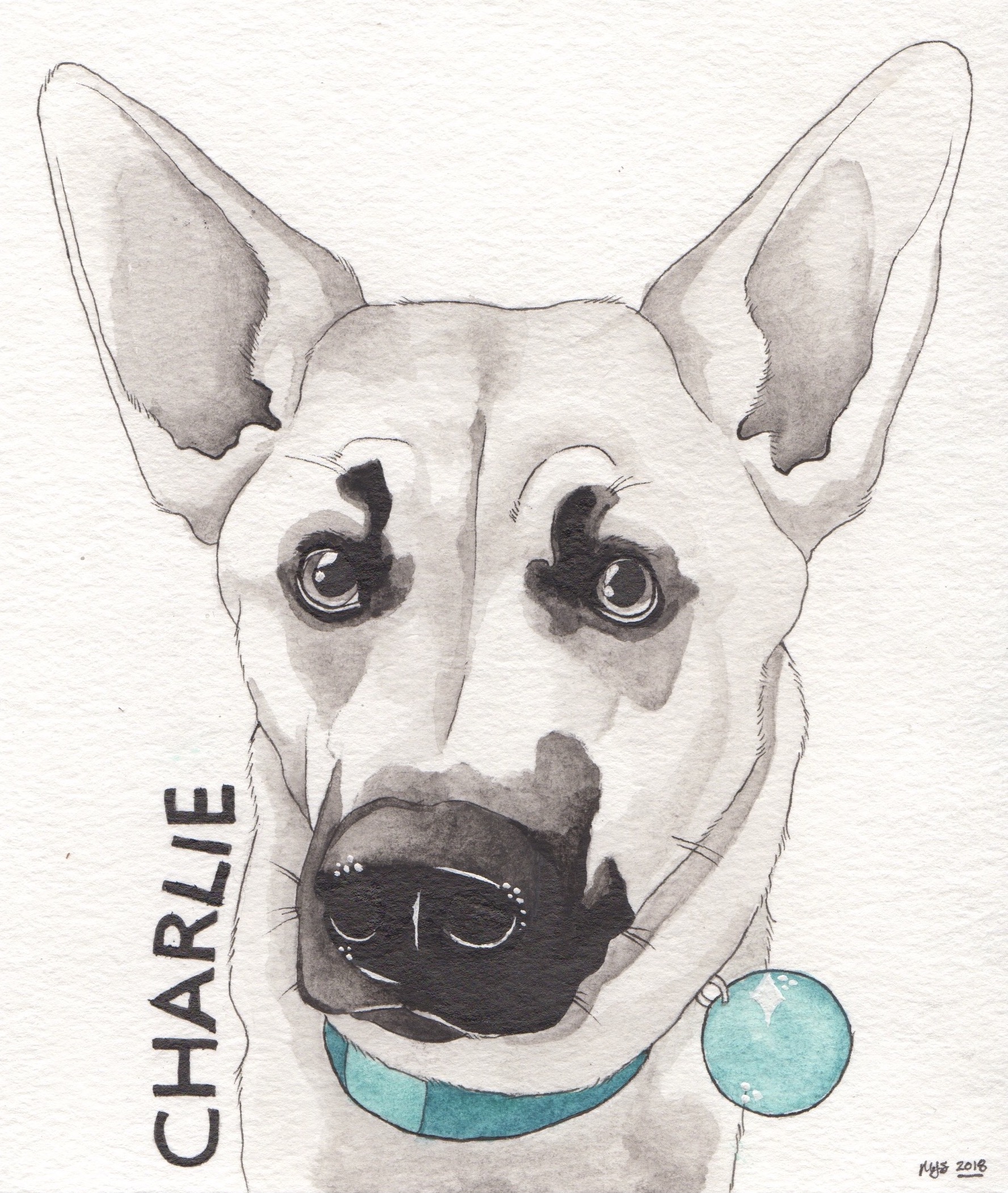 Shepherd Mix - 6x6 in.