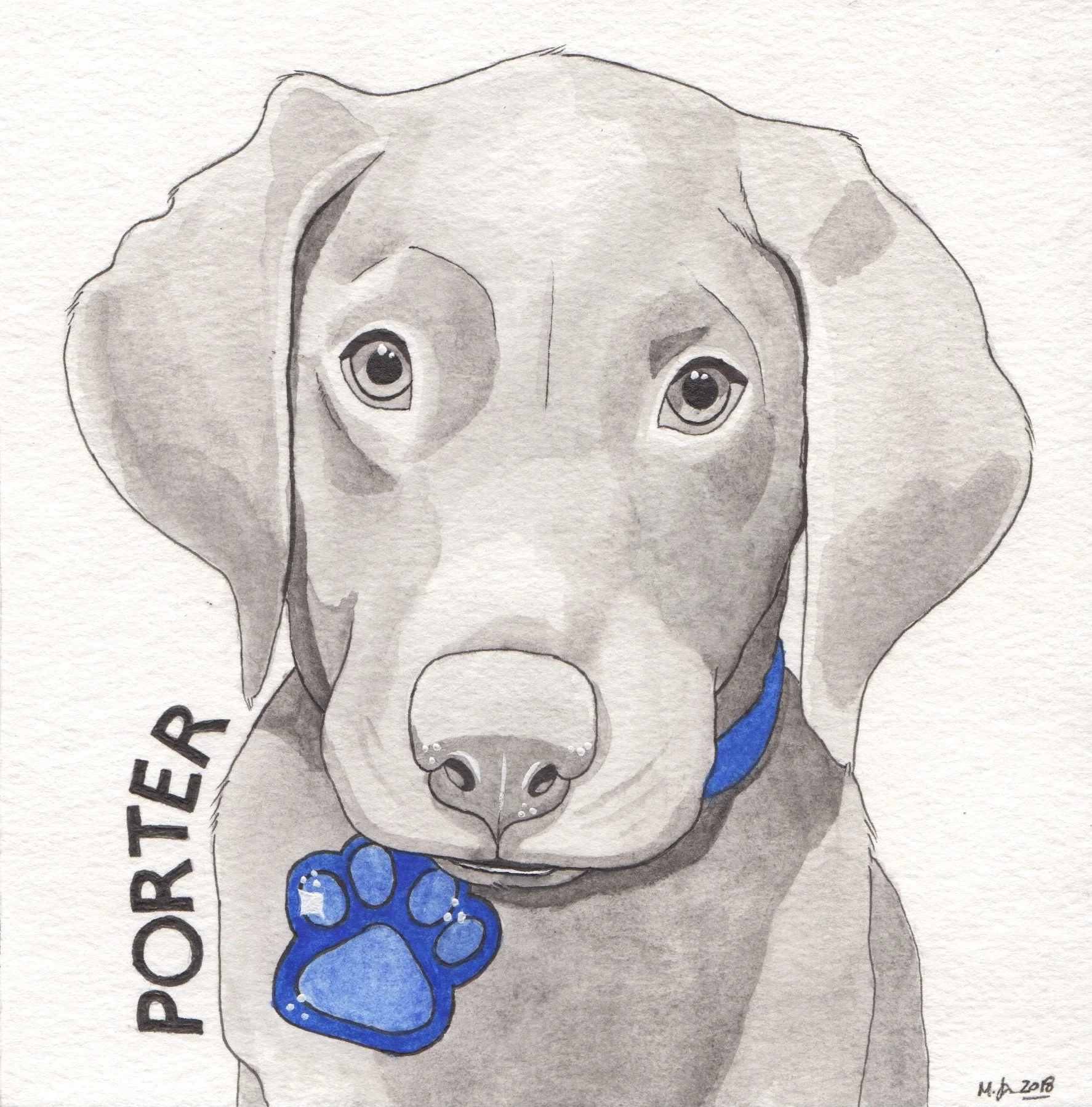 Silver Lab Puppy - 6x6 in.