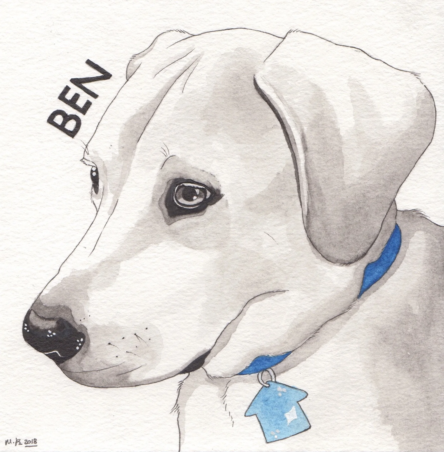 Yellow Lab - 6x6 in.