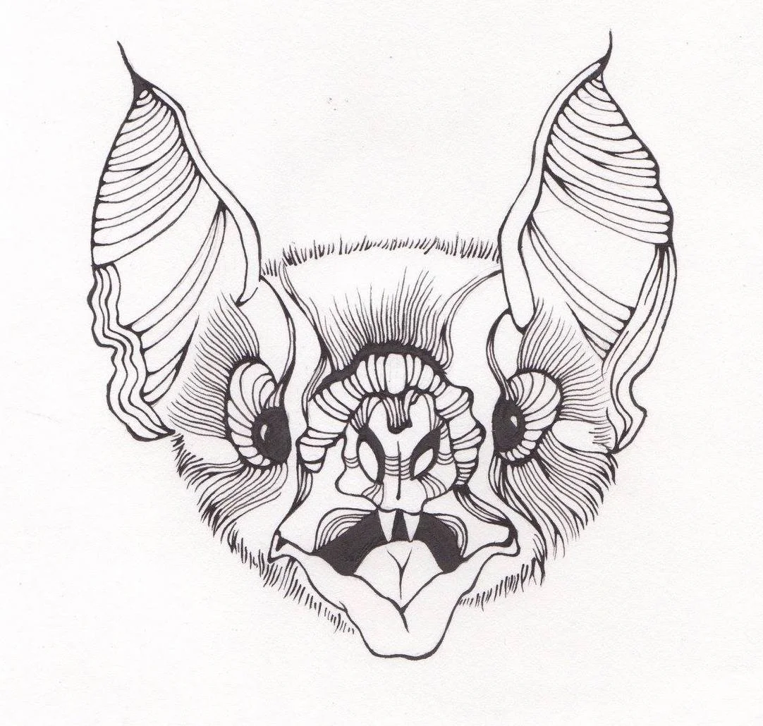 Indiana Bat - 2017