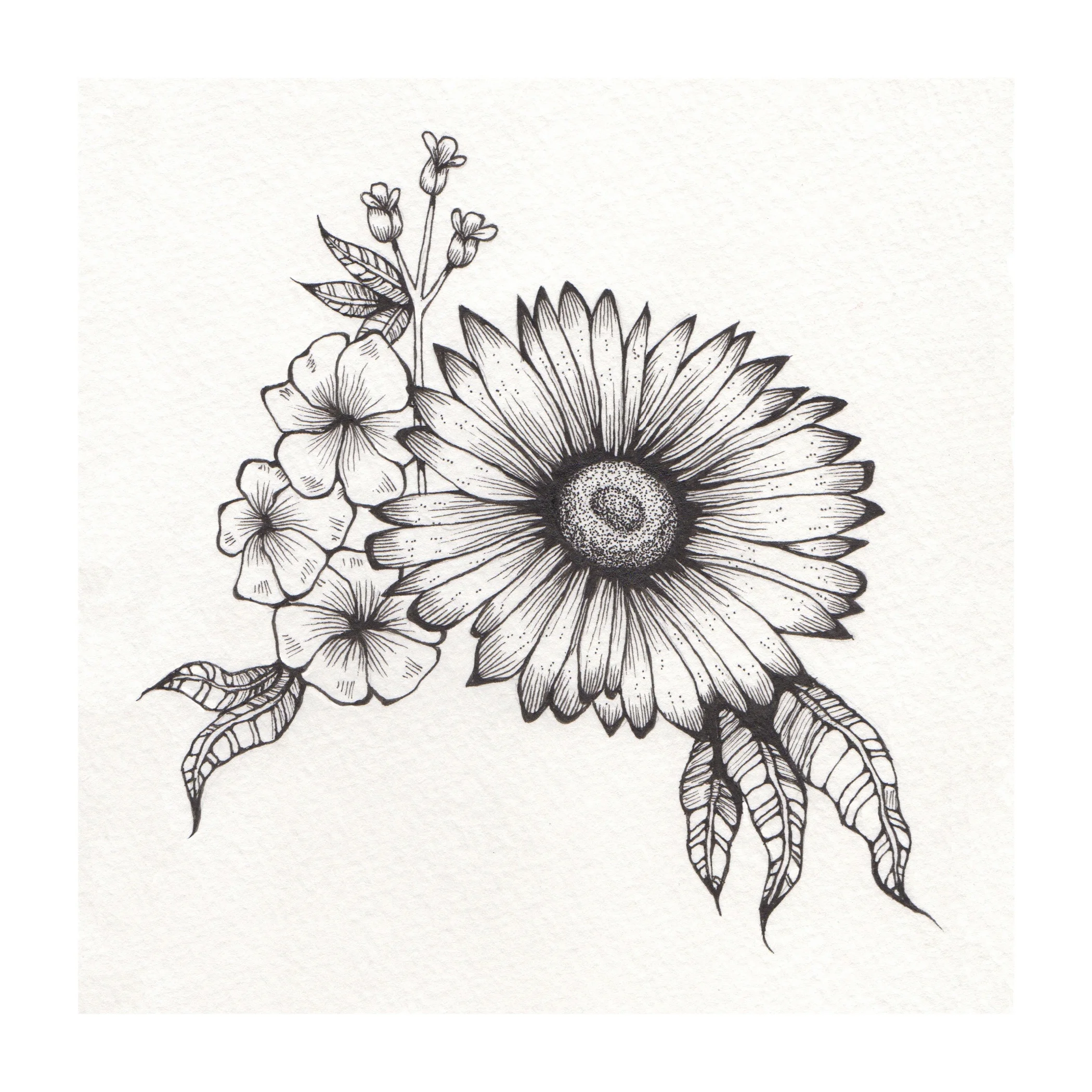 Daisies
