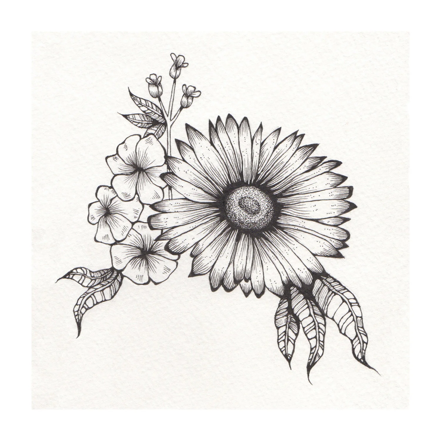 Daisy+for+website.jpg