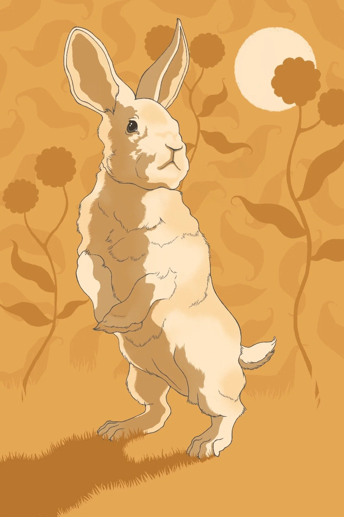 Year of the Rabbit - 2023