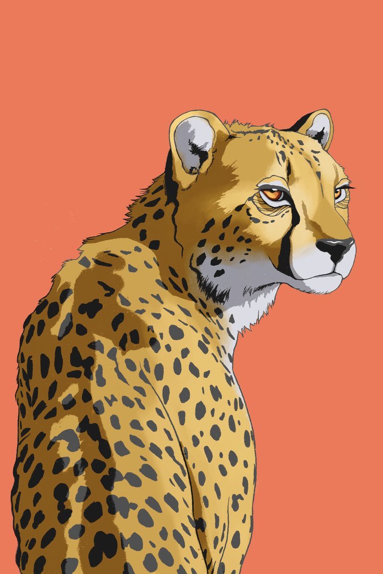 cheetah_final.jpg