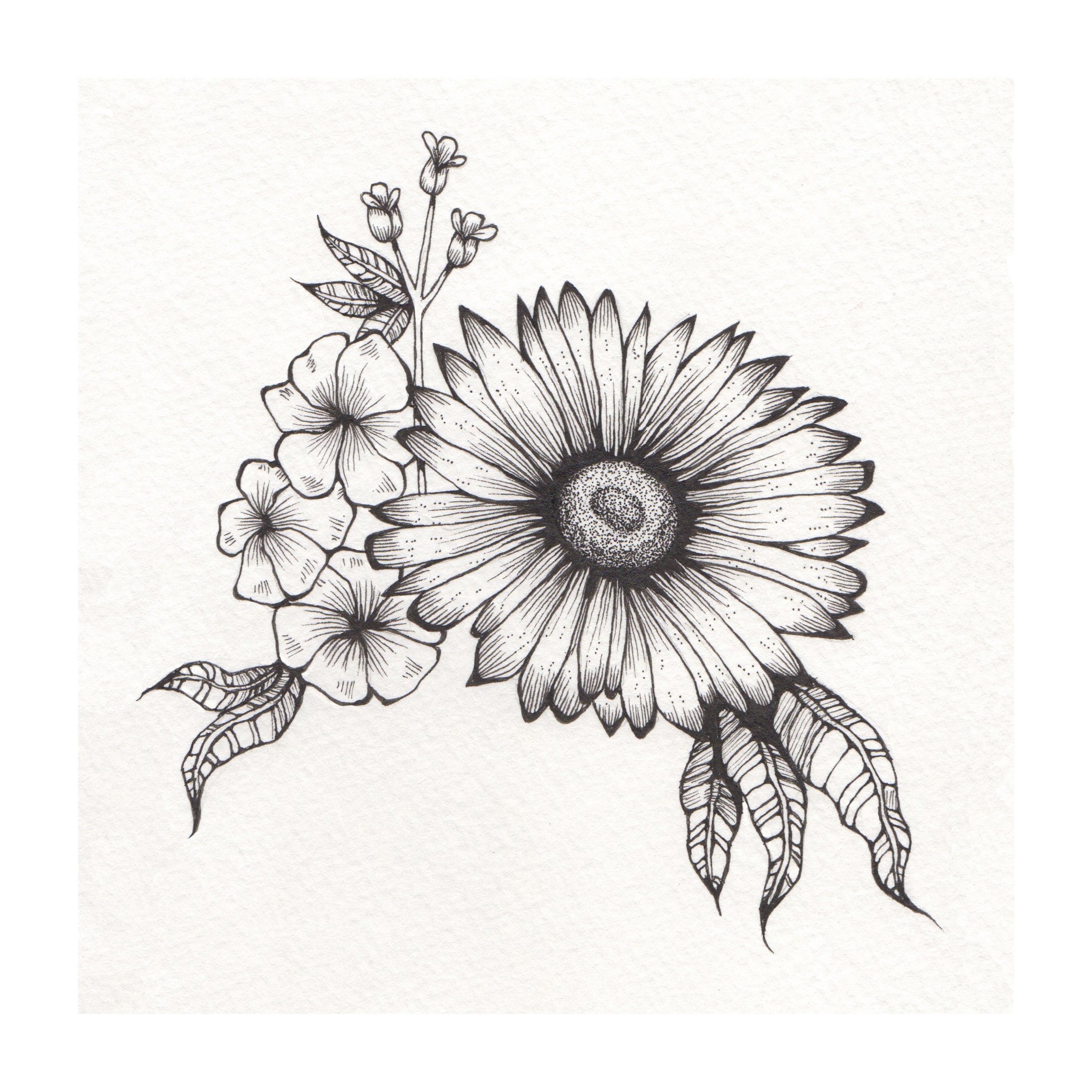 Daisy+for+website.jpg