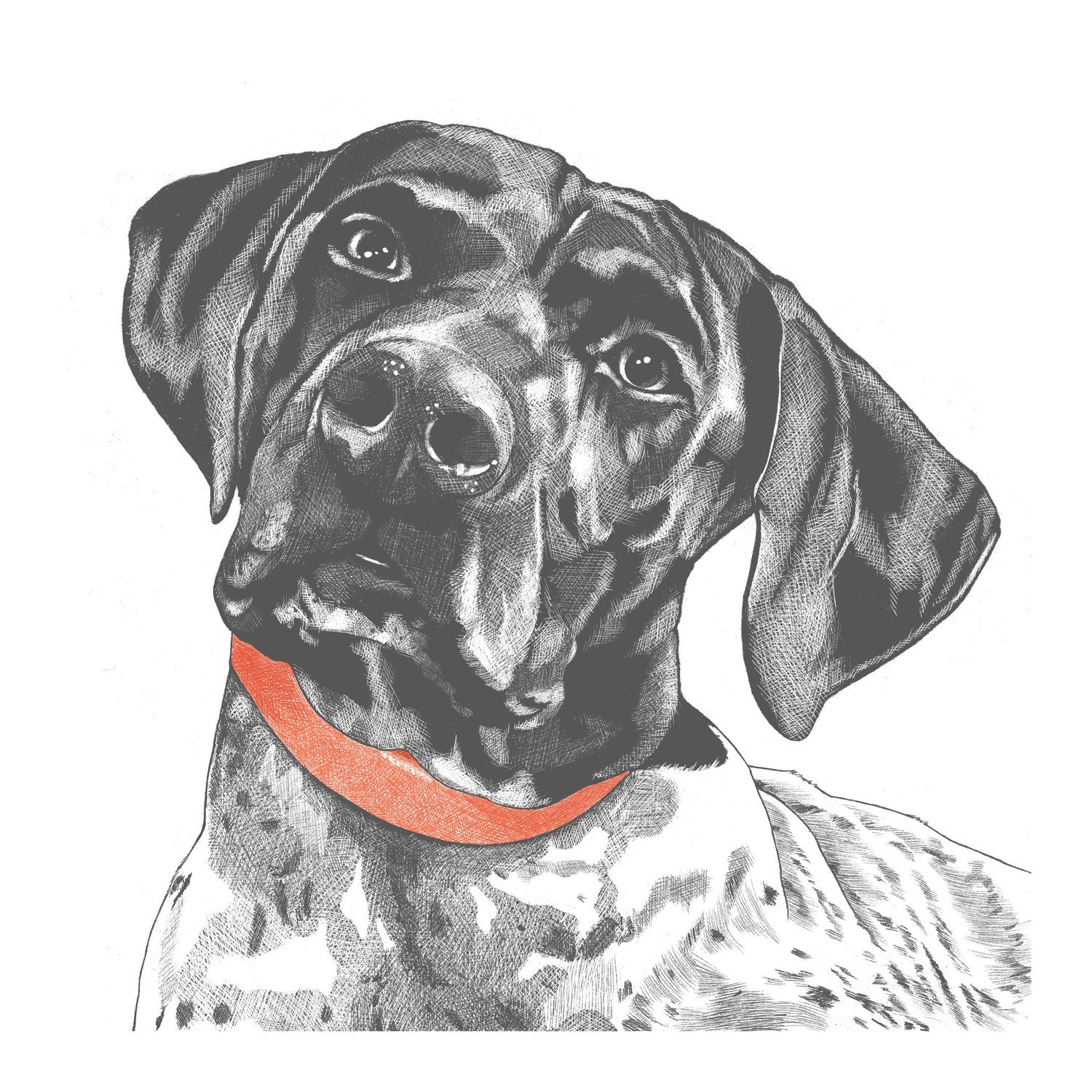 Cody_8x8in_WithBorder_Final.jpg
