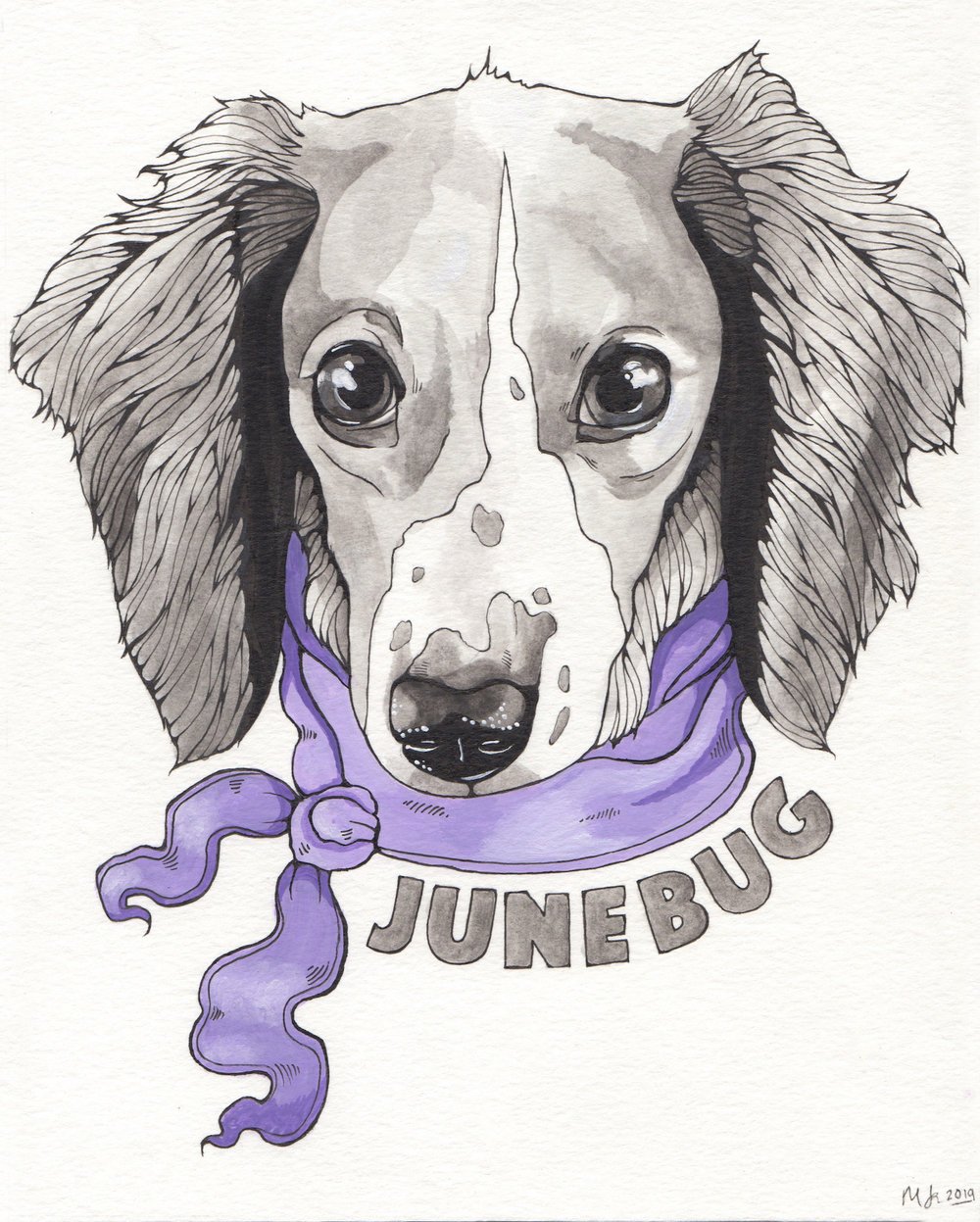 Junebug+copy.jpg