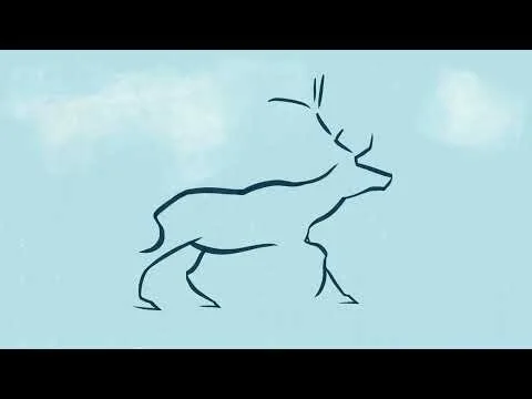 Eadweard Muybridge Study 2024