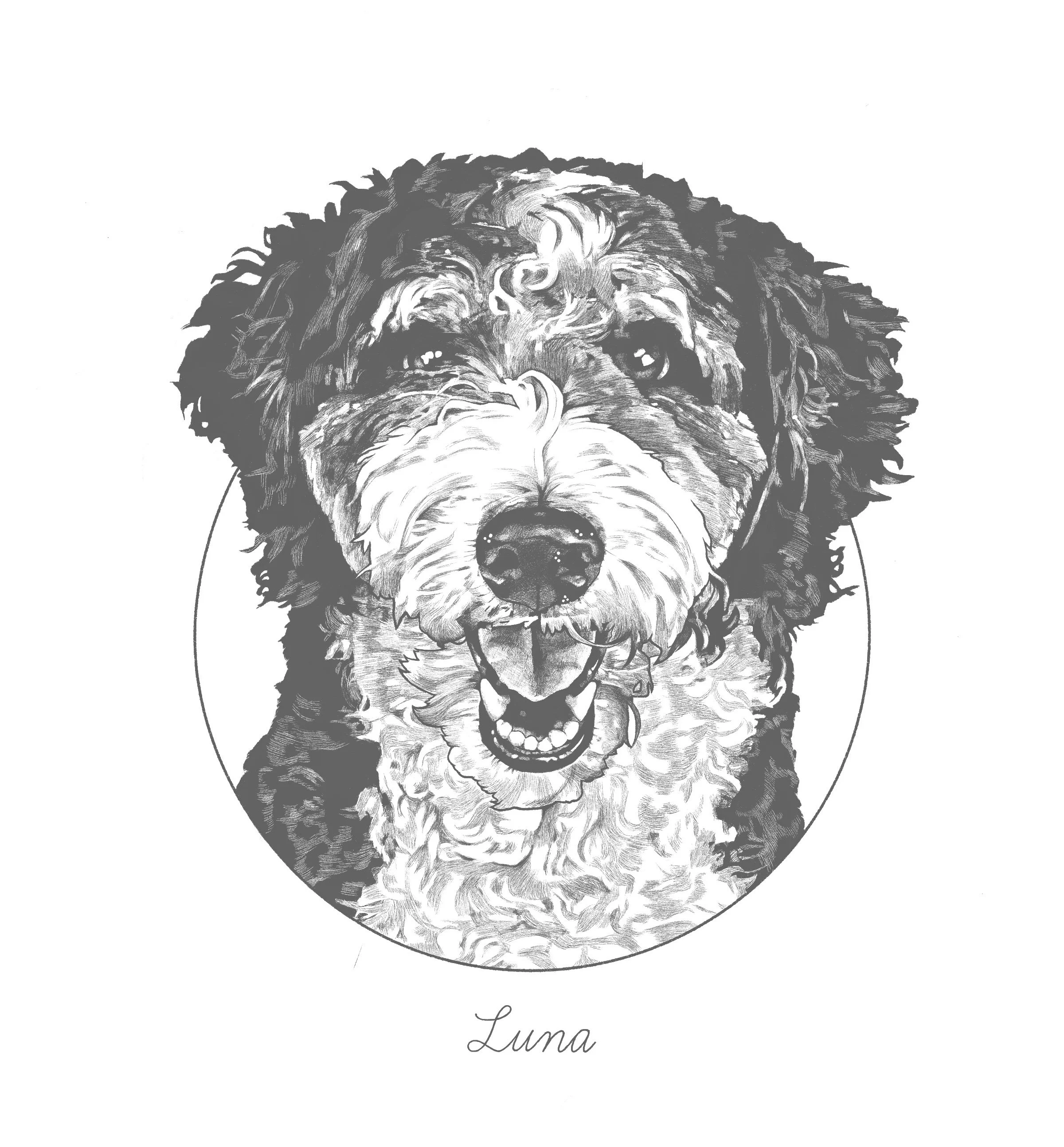 Untitled_Artwork 78.jpg