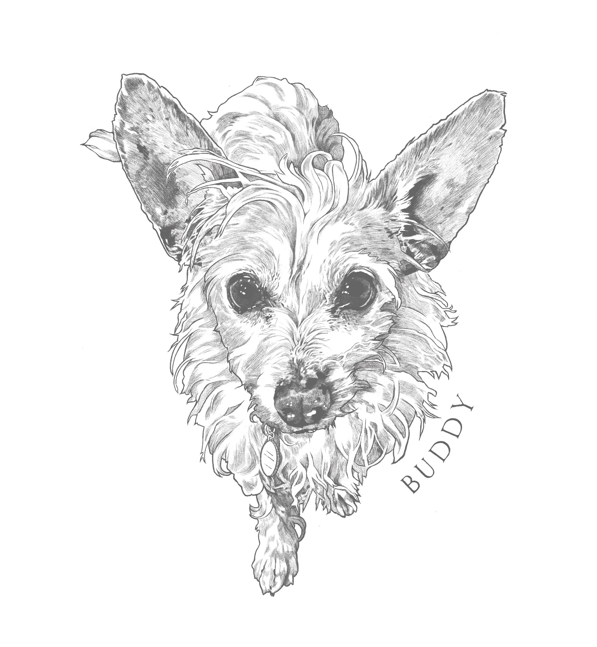 Untitled_Artwork 80.jpg