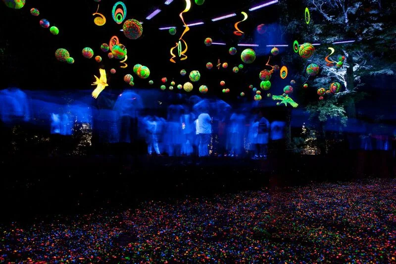 A great way to explore the spectacular TSB Bank Festival of Lights is with a guided tour. Our experienced guides will take you to all the top spots in Pukekura Park so you get the best possible lights experience as well as fill you in on the history, key points of interest and insider informationsuch as the operations to put on this fantastic event. Included in your tour is a coffee or hot chocolate with a sweet treat or an icecream. Picnics or platters can be organised by arrangement for an extra charge. DETAILS Dates and Times: Tours available every night from 16 December to 5 February 2018. Please meet your guide at the Pukekura Park Tea House at 8.30pm ( tour takes between 1 ¾ and 2 hours) PRICES: $40 per person for a party of 2 or 3 $35 per person for 4 or more TO BOOK: Contact your accommodation provider, New Plymouth i-site or Cathy at cathy@discovertaranaki.nz or Ph 0272 410458 or 0800 347 82.
