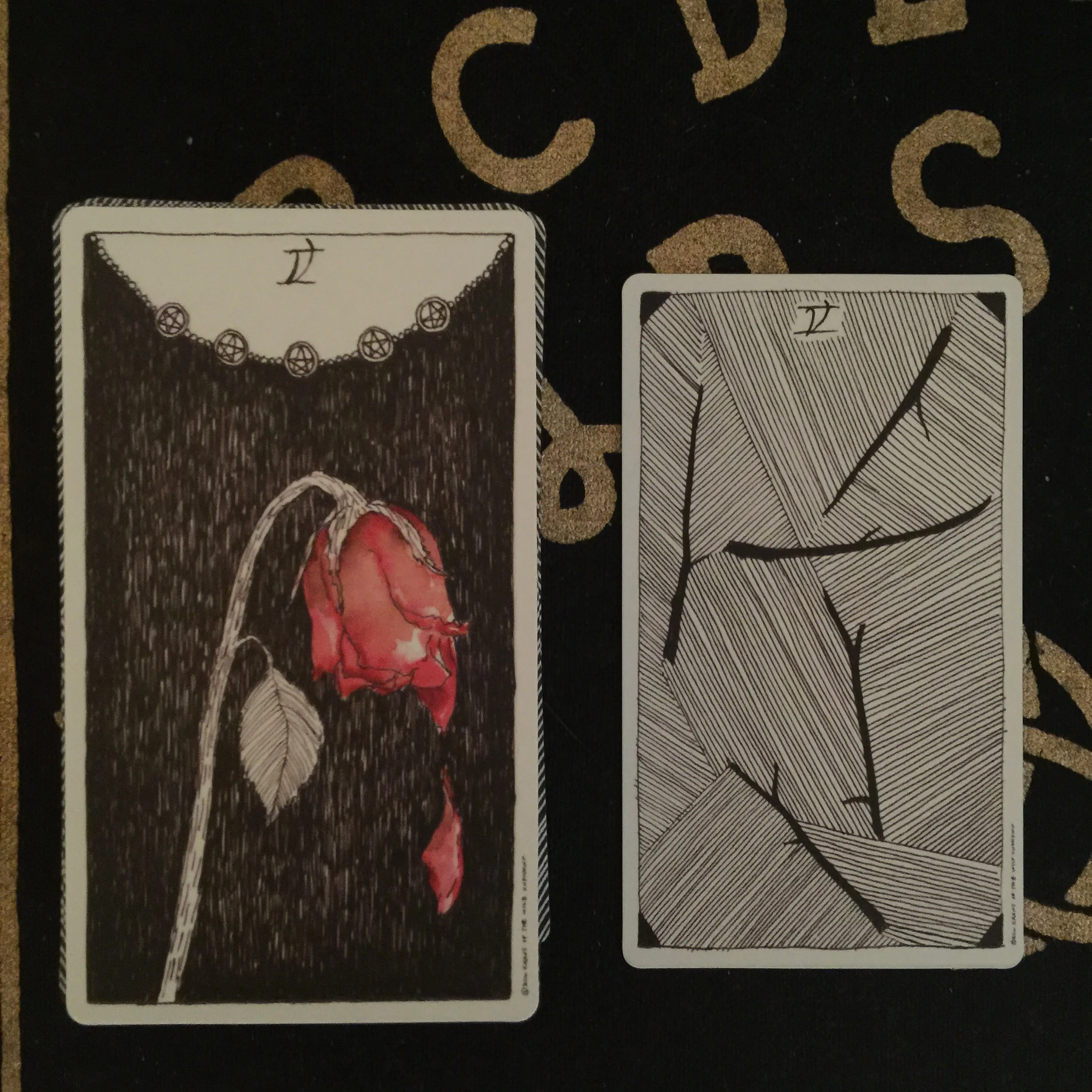 Deck used: The Wild Unknown Tarot