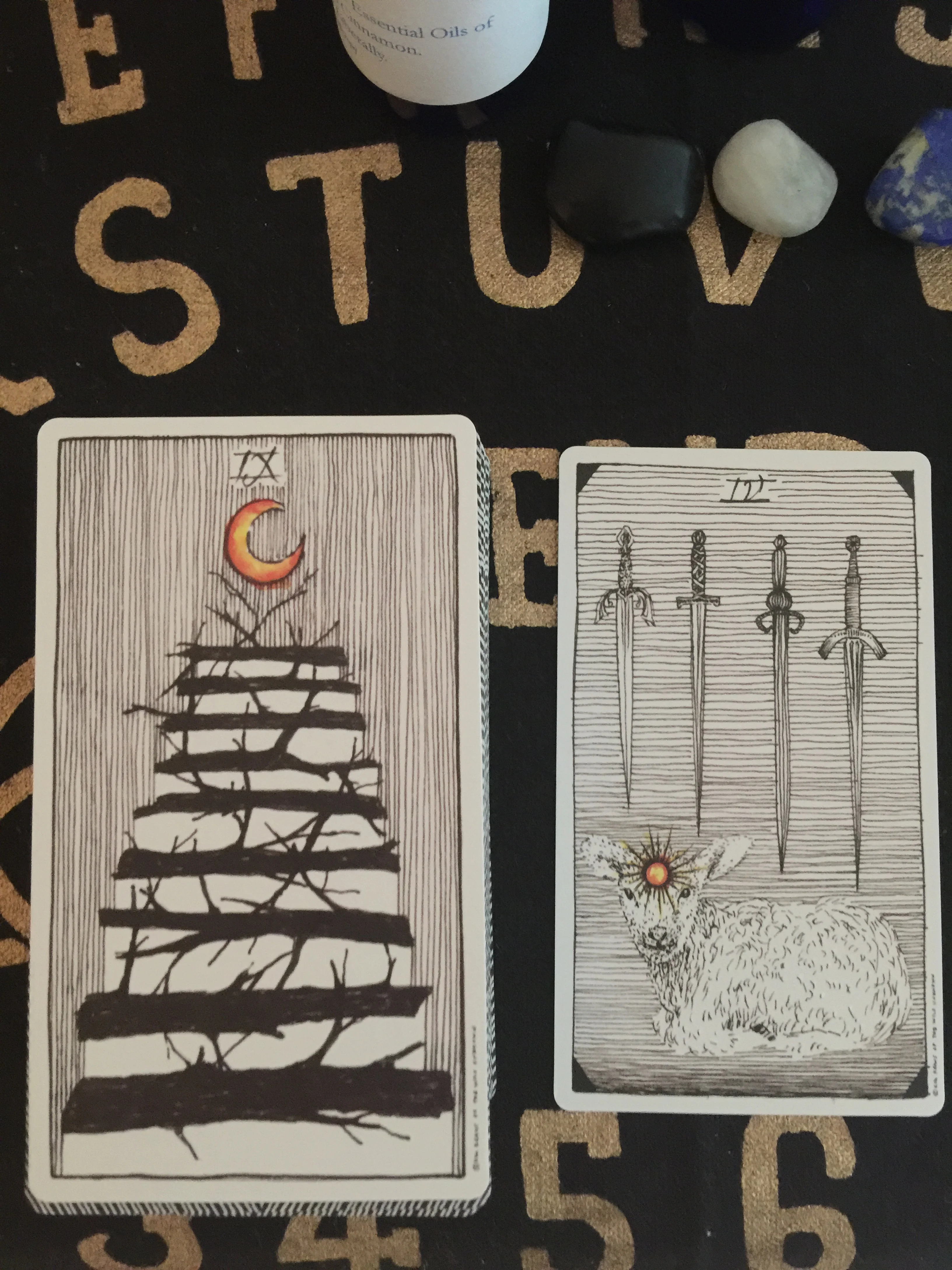 Deck used: The Wild Unknown Tarot