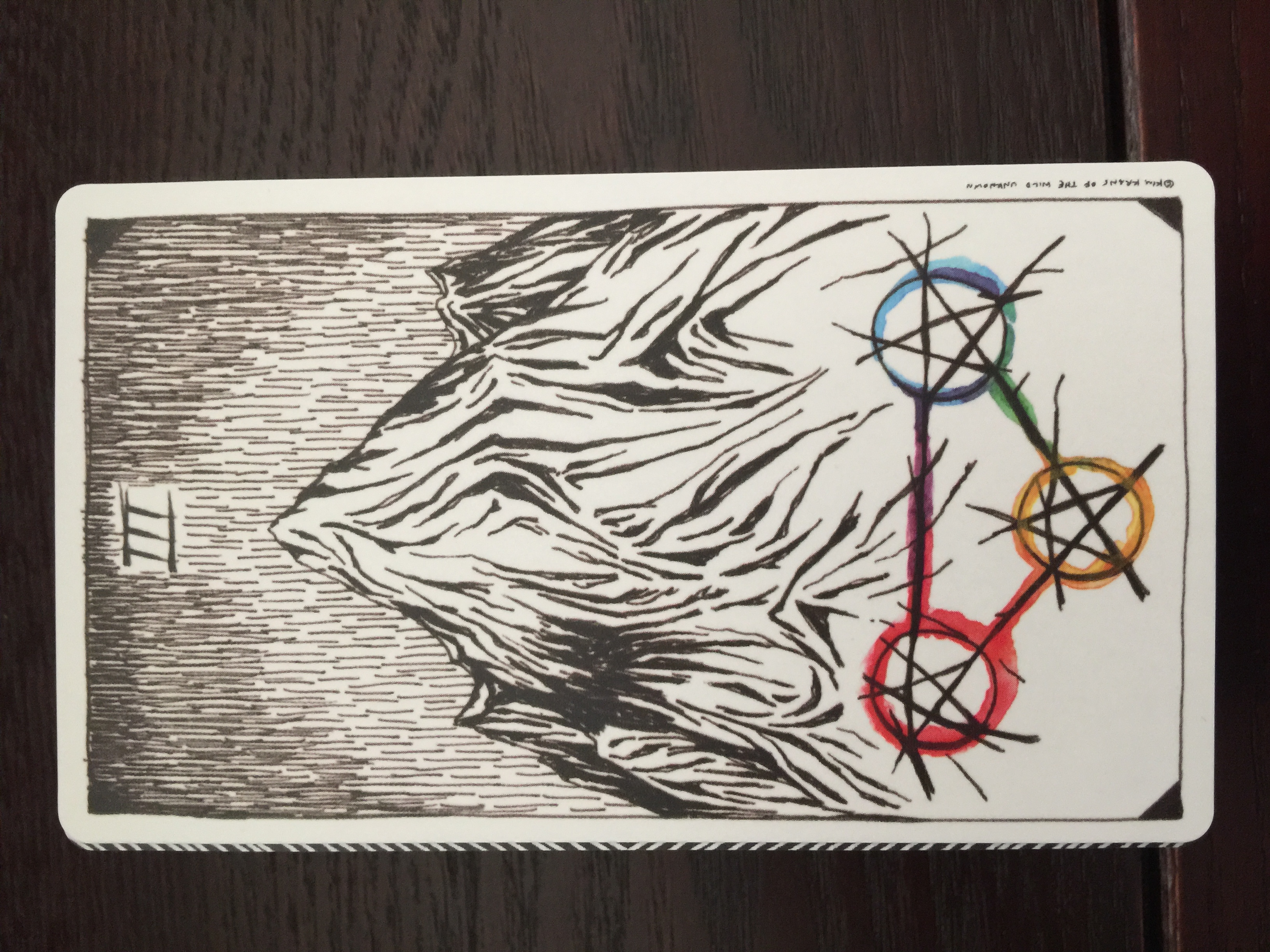 Deck used: The Wild Unknown Tarot