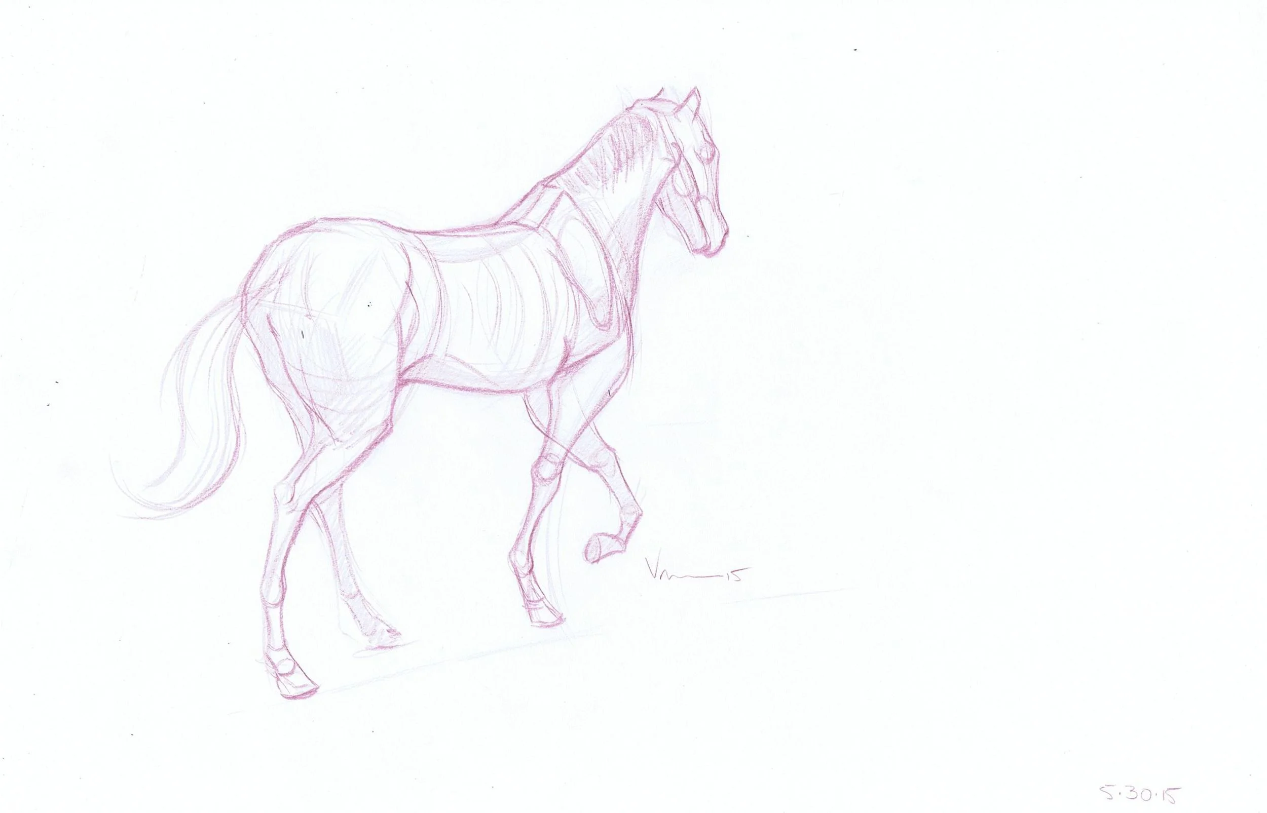 Horse1.jpg