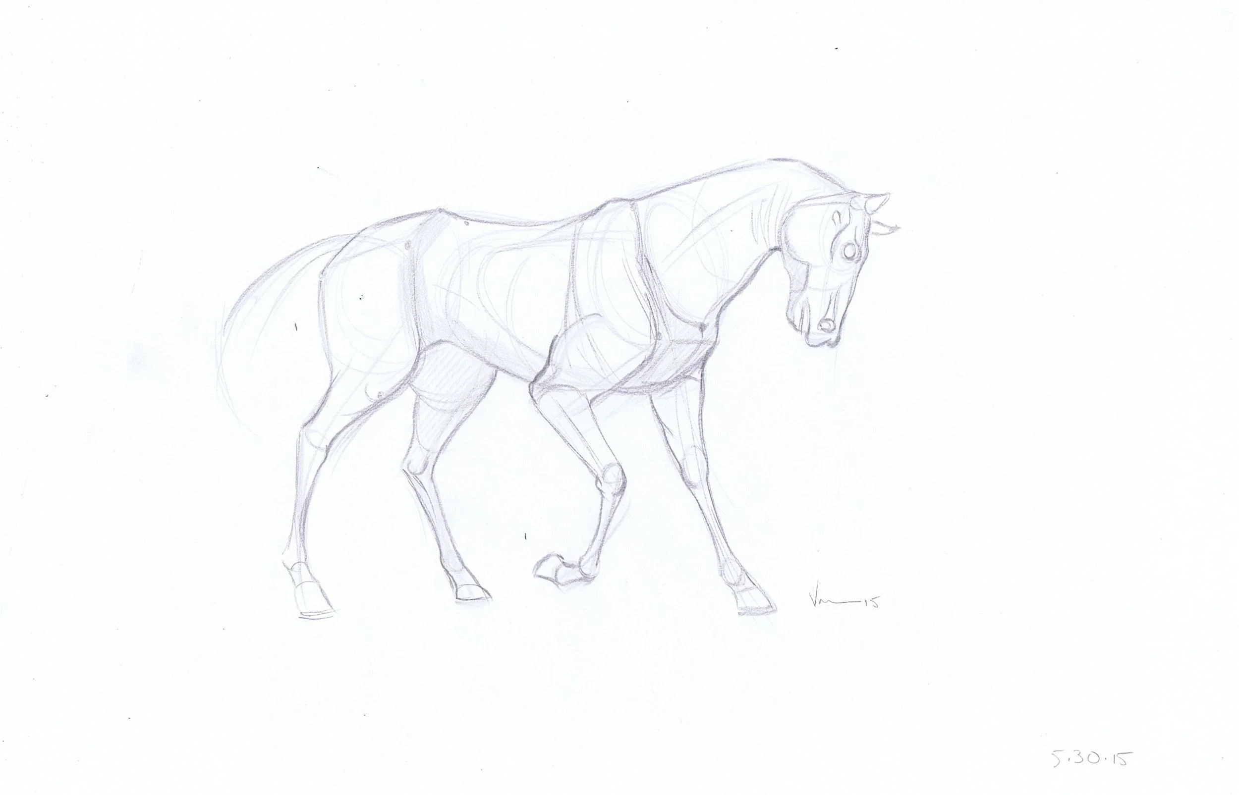 Horse2.jpg