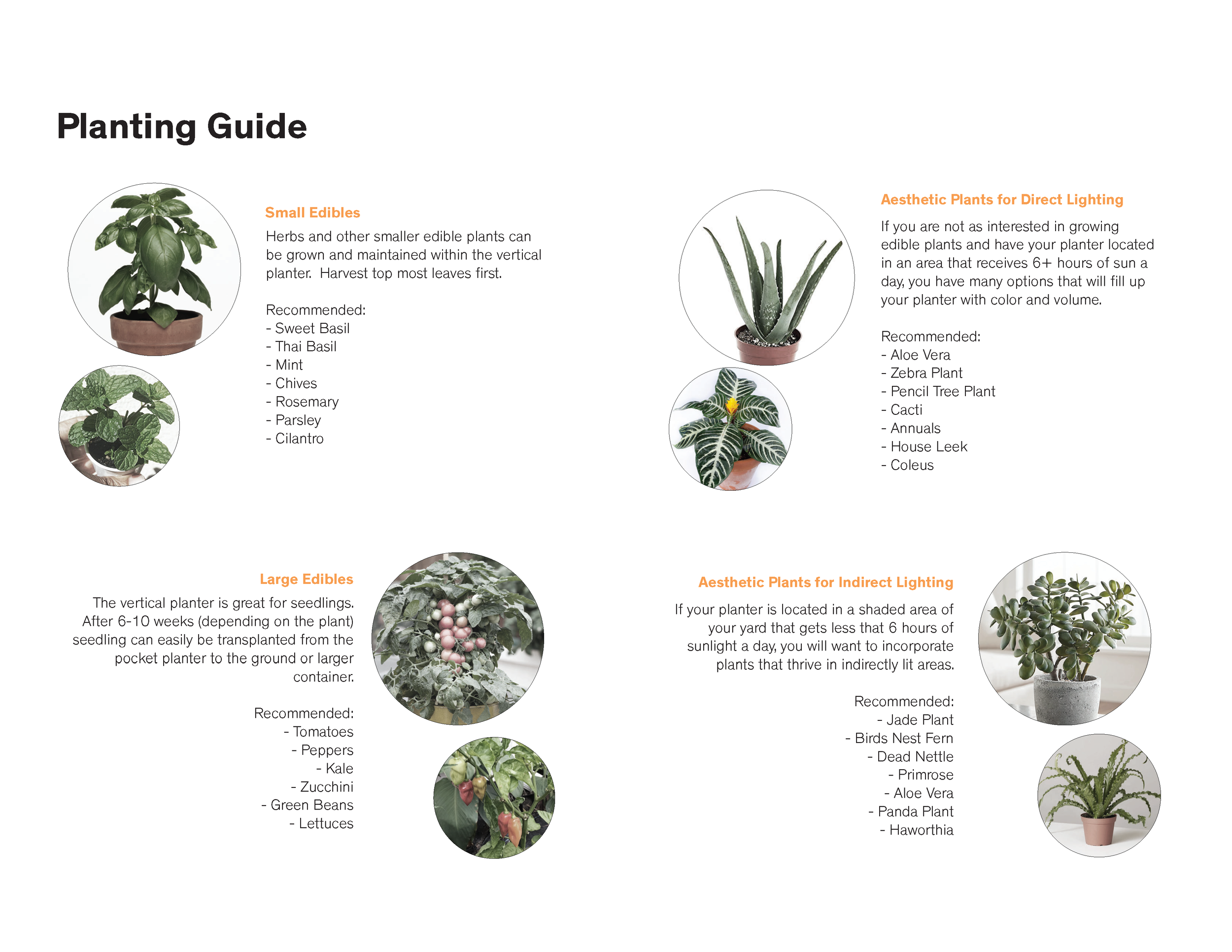 MASTER Presentation_19.05.05_Page_16.png