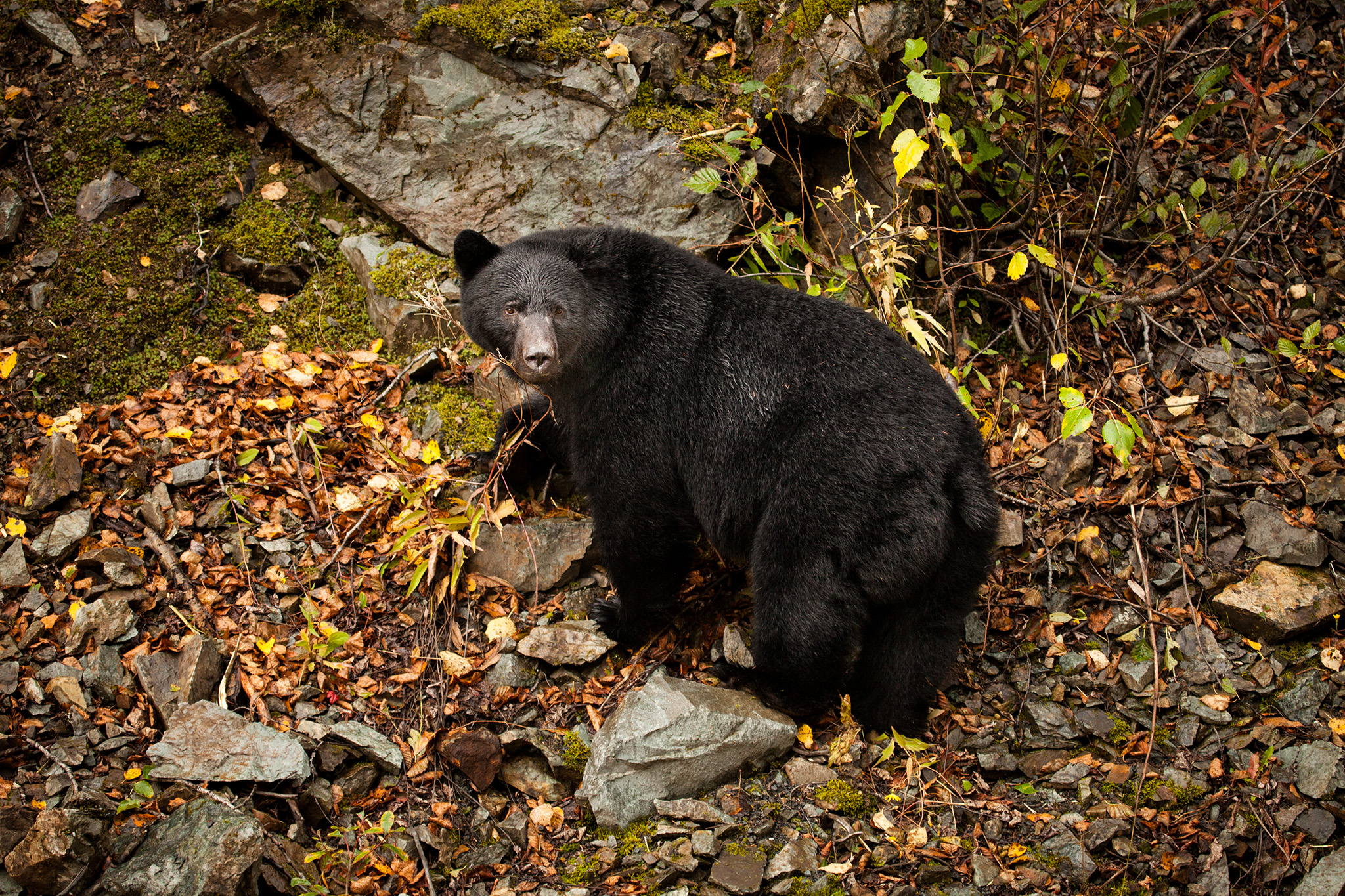 08_Canada_140929.jpg