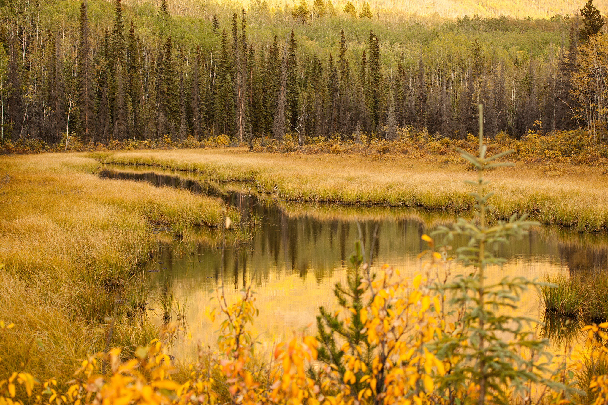 14_Canada_140917.jpg