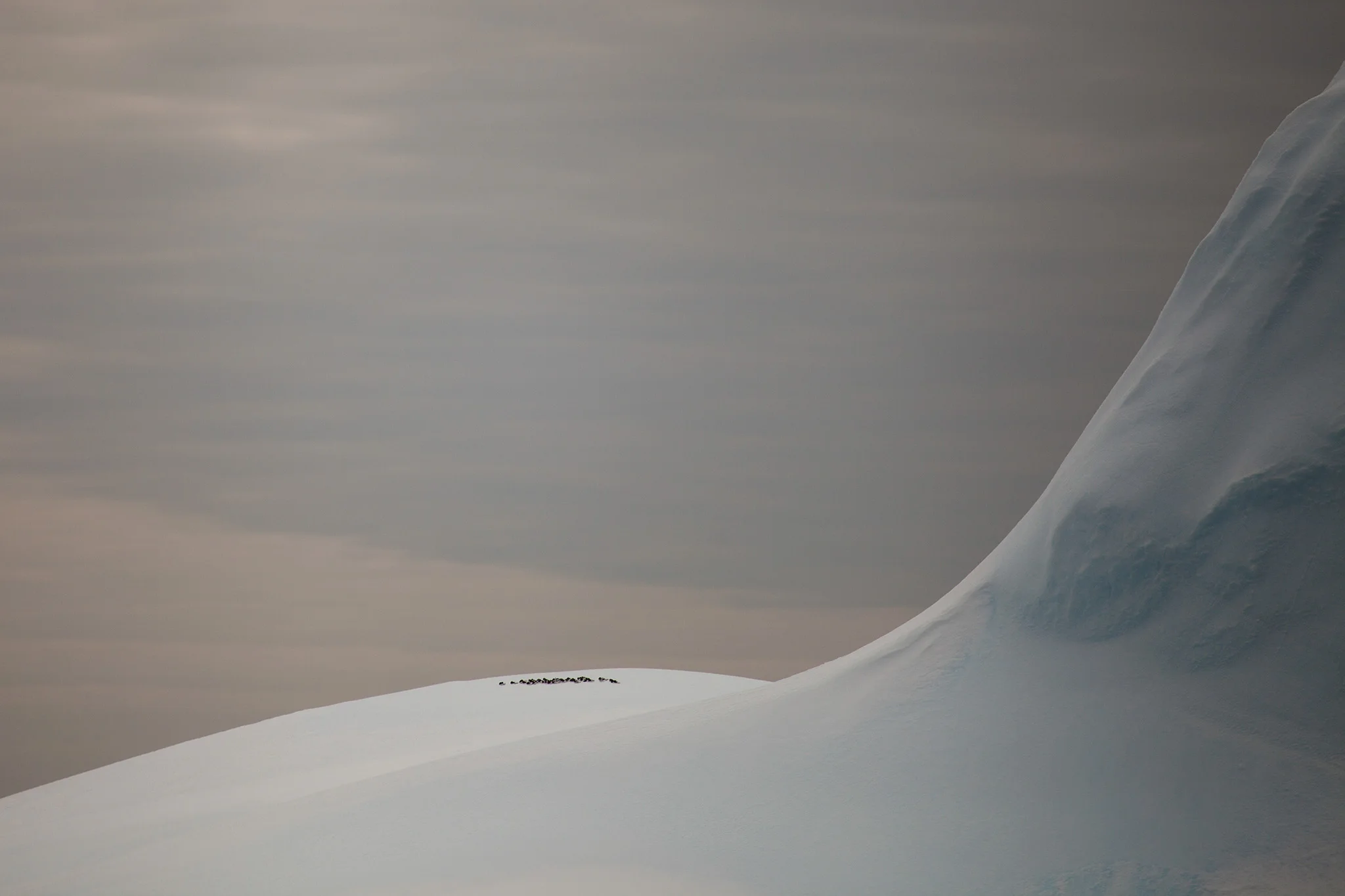 24_Icebergs_140122.jpg