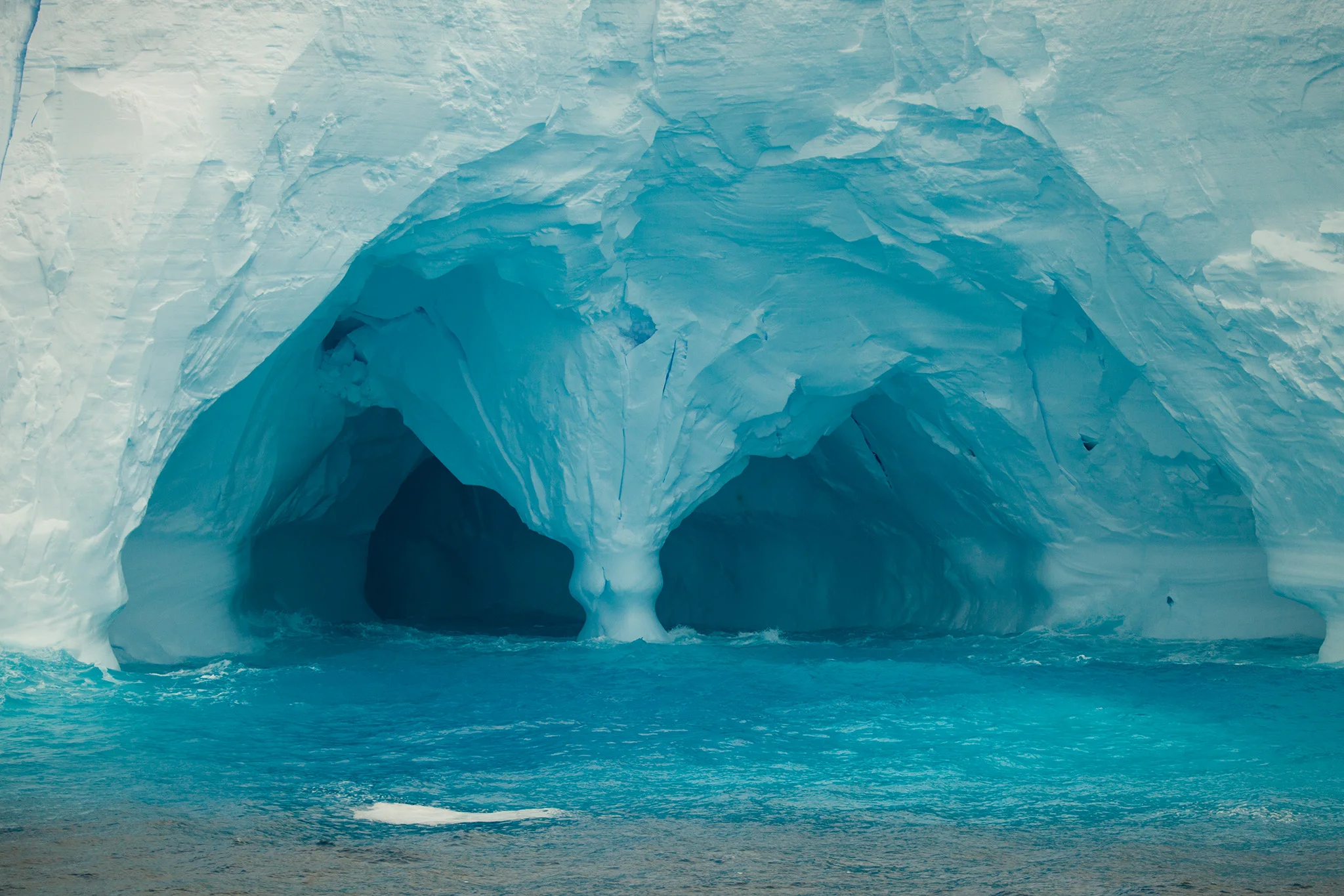34_Icebergs_140109.jpg