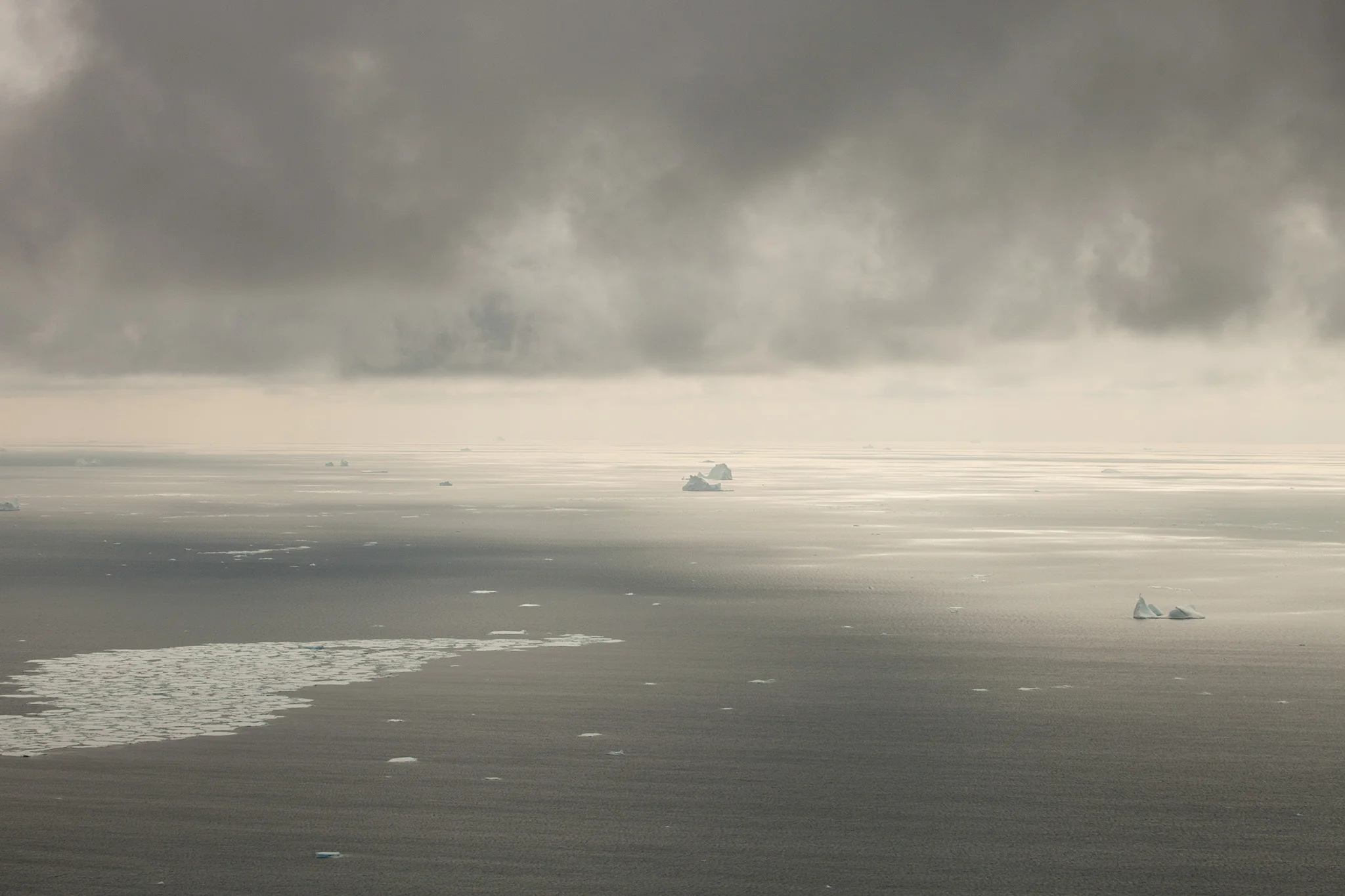 01_Icebergs_140111.jpg