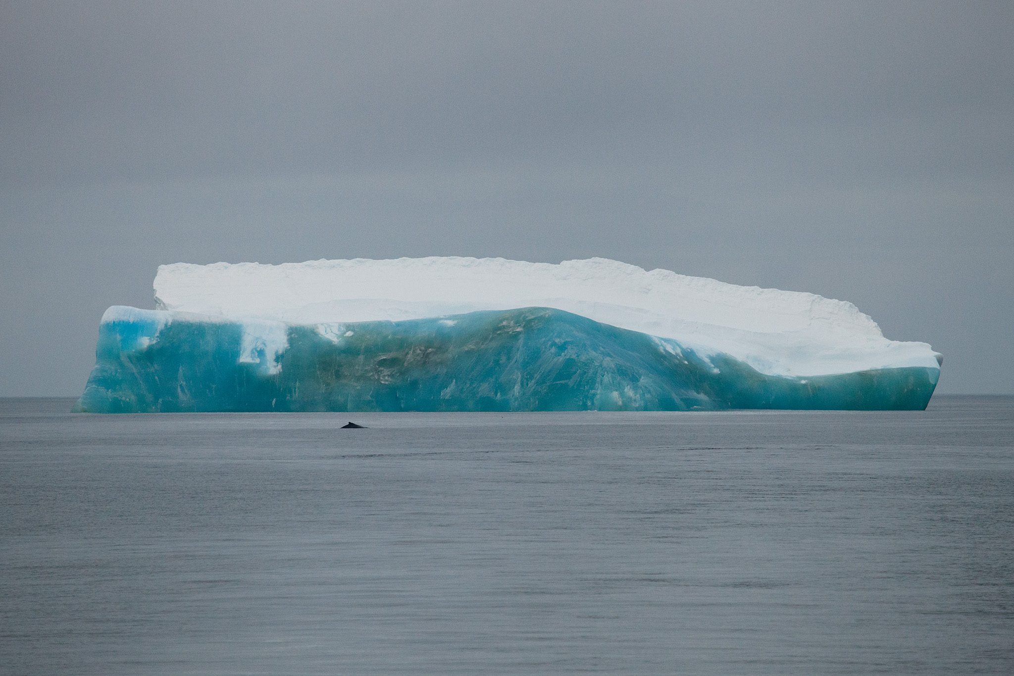 01_MarineLIfe_130115.jpg