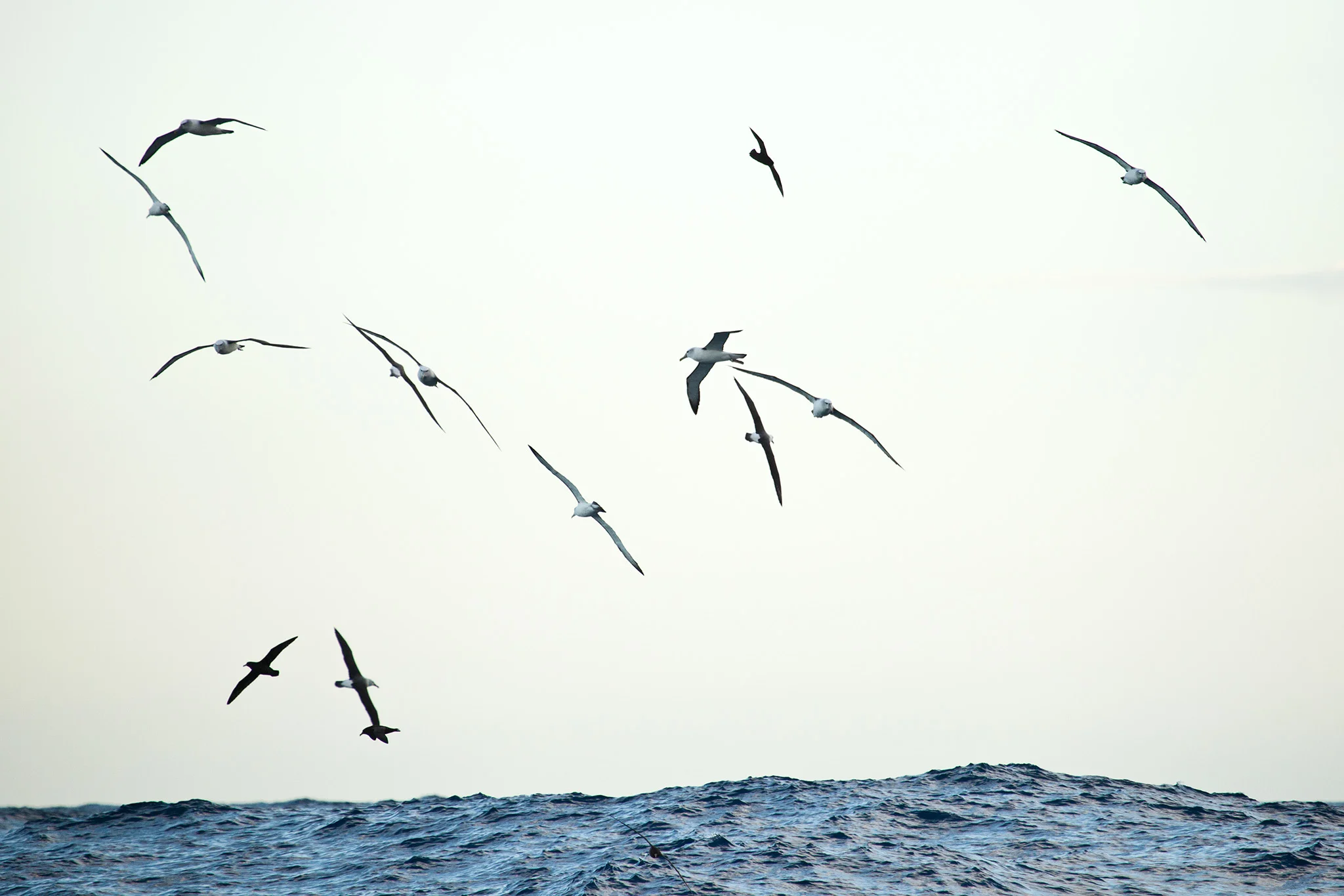 07_MarineLIfe_130102.jpg