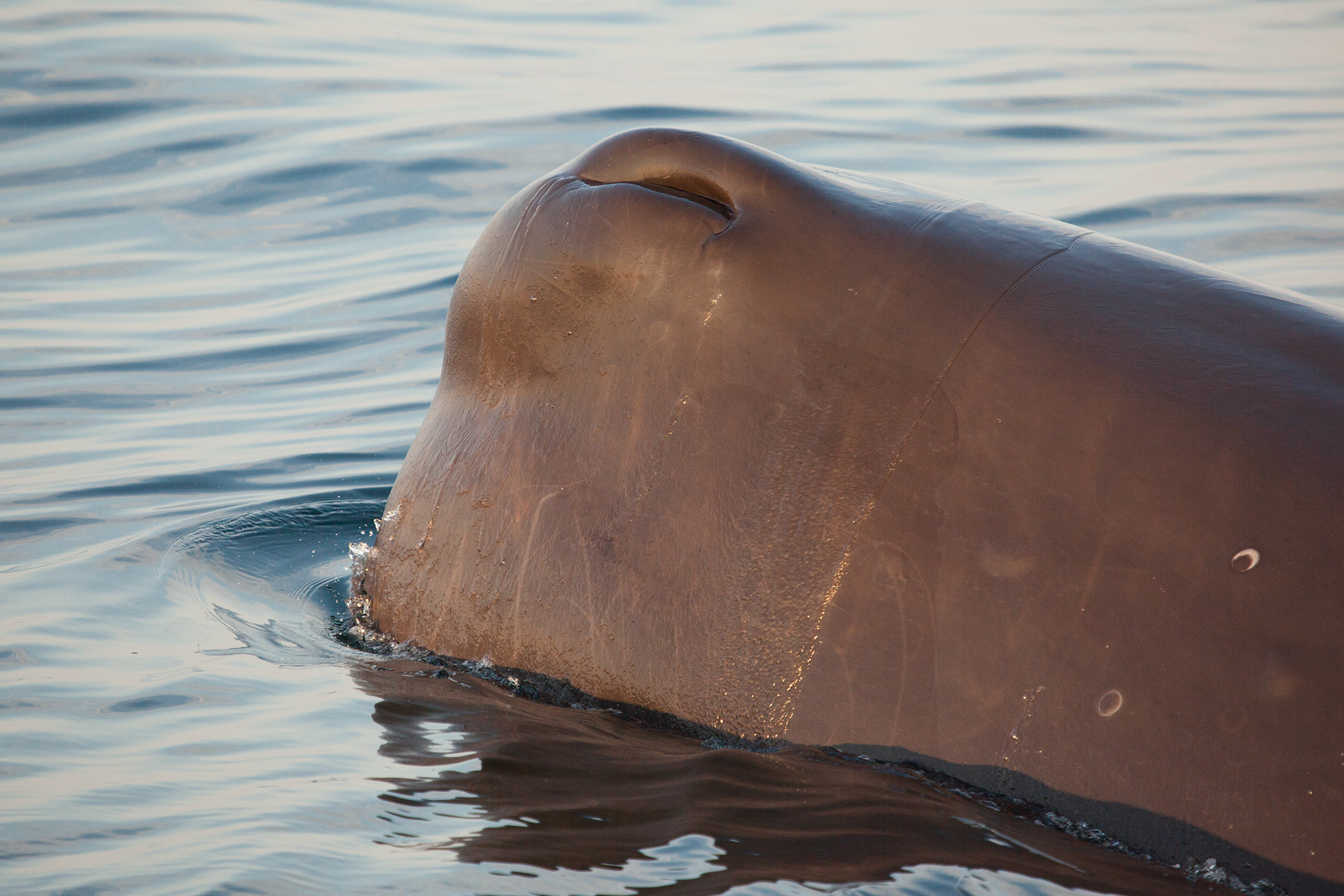 23_MarineLIfe_140802.jpg