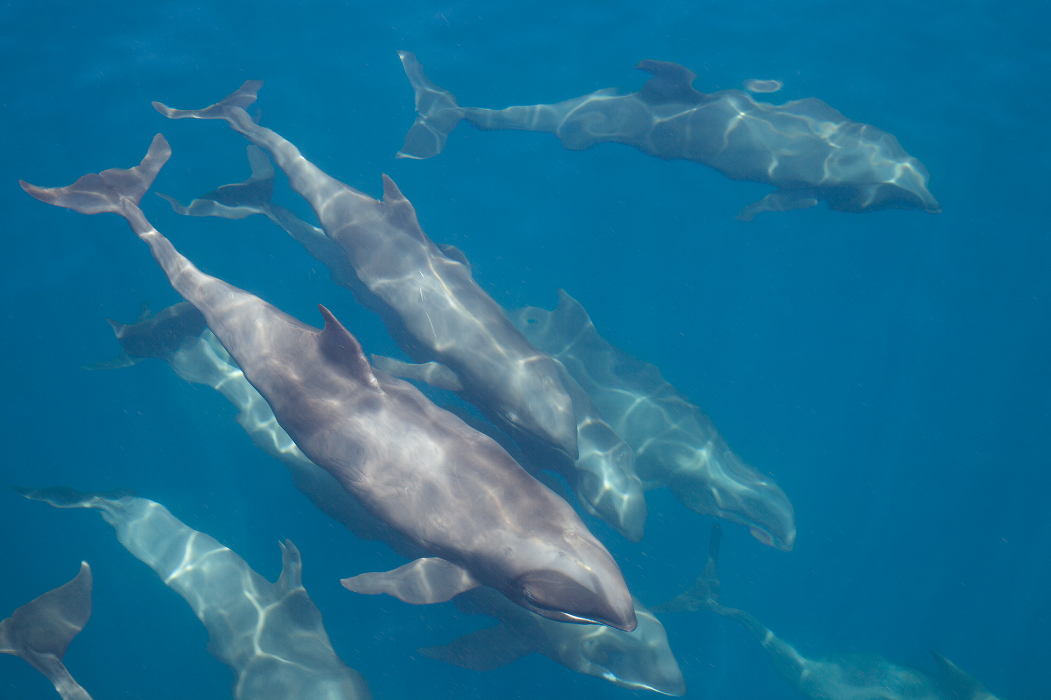42_MarineLIfe_130710.jpg