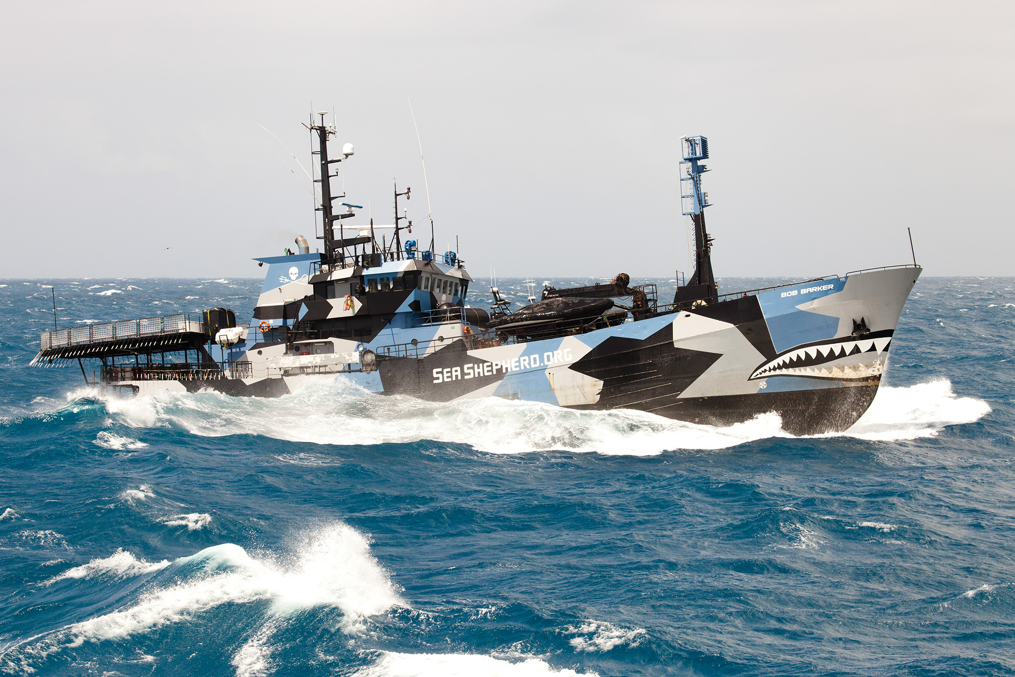 017_SeaShepherd_130106.jpg