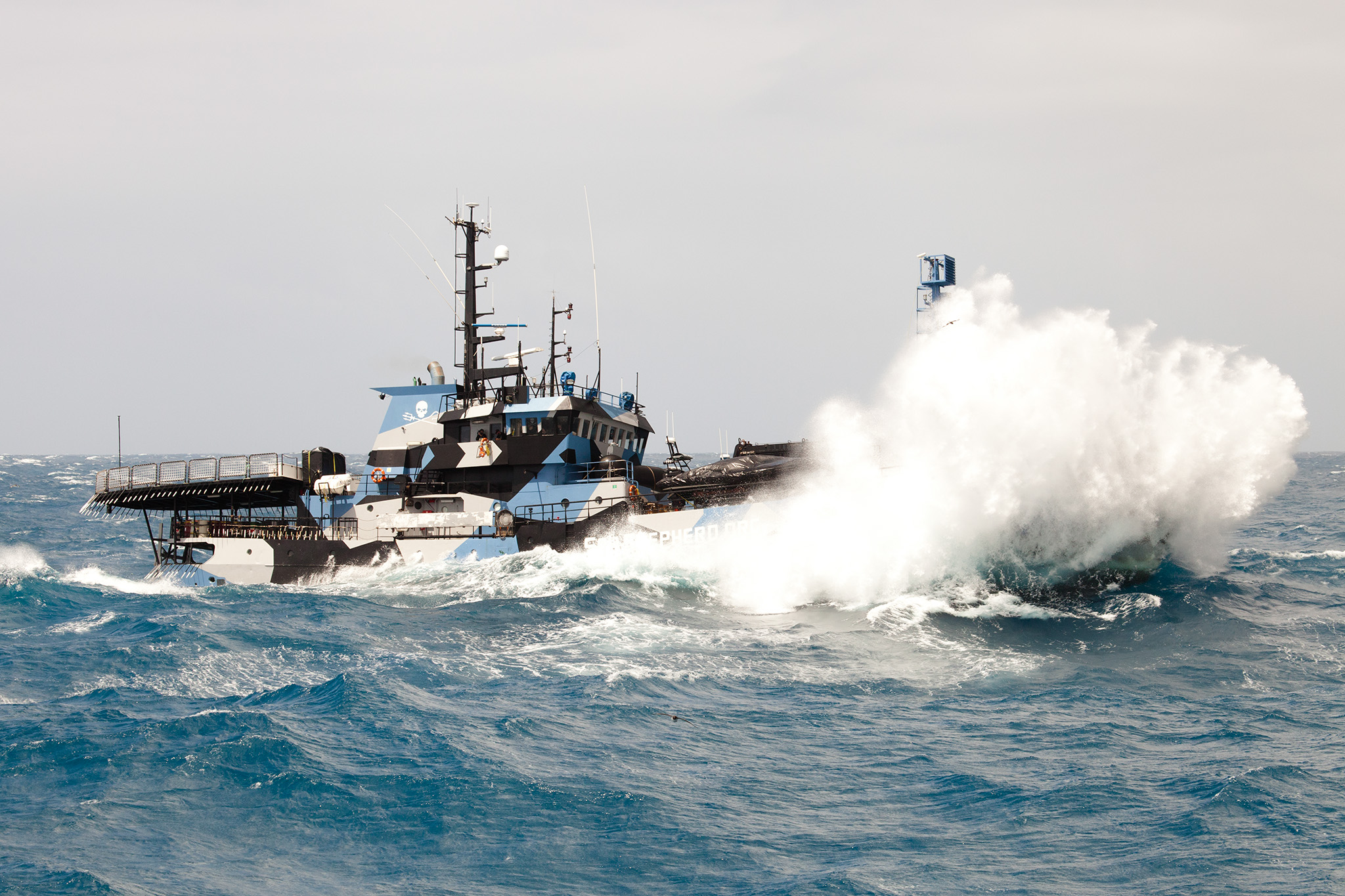 018_SeaShepherd_130106.jpg