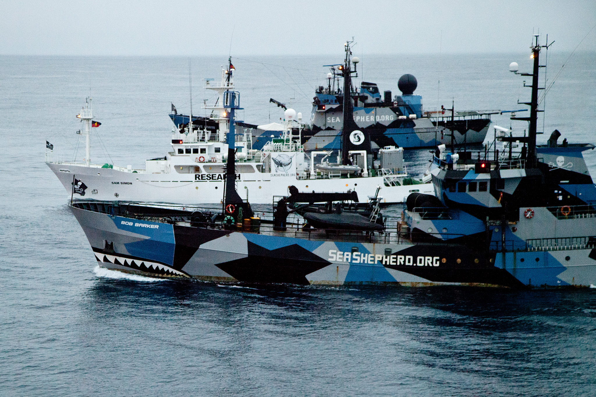 021_SeaShepherd_130121.jpg