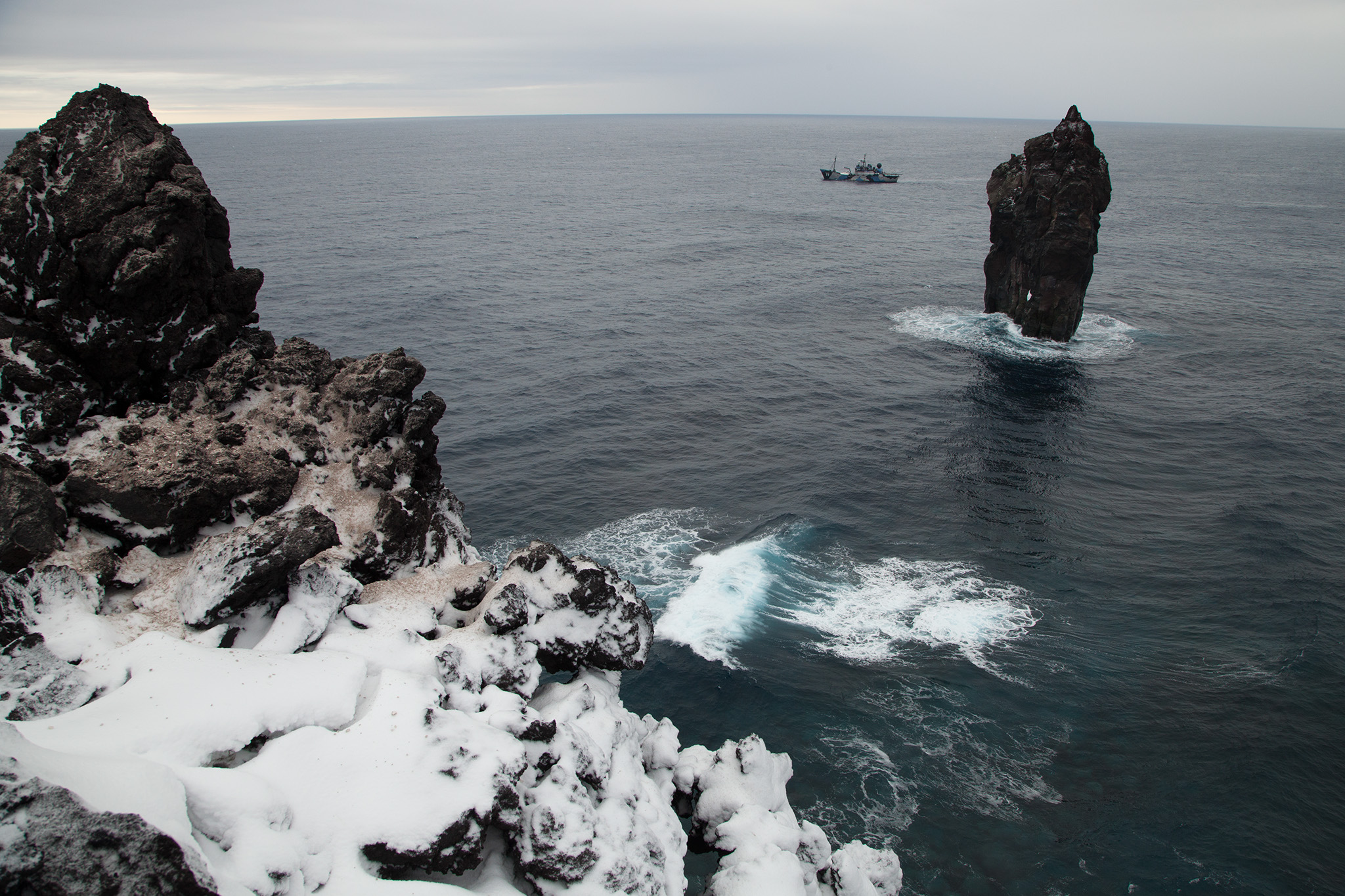 023_SeaShepherd_130124.jpg