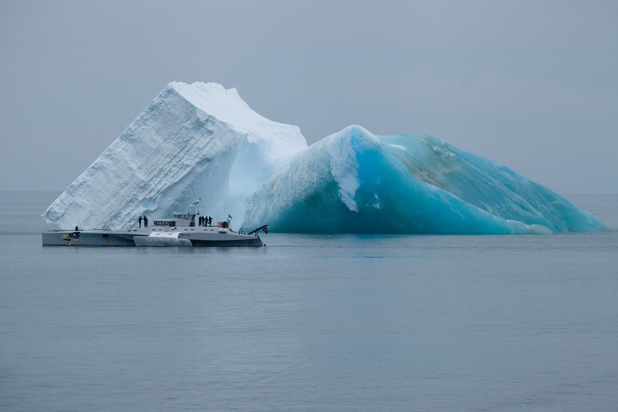 027_SeaShepherd_130115.jpg